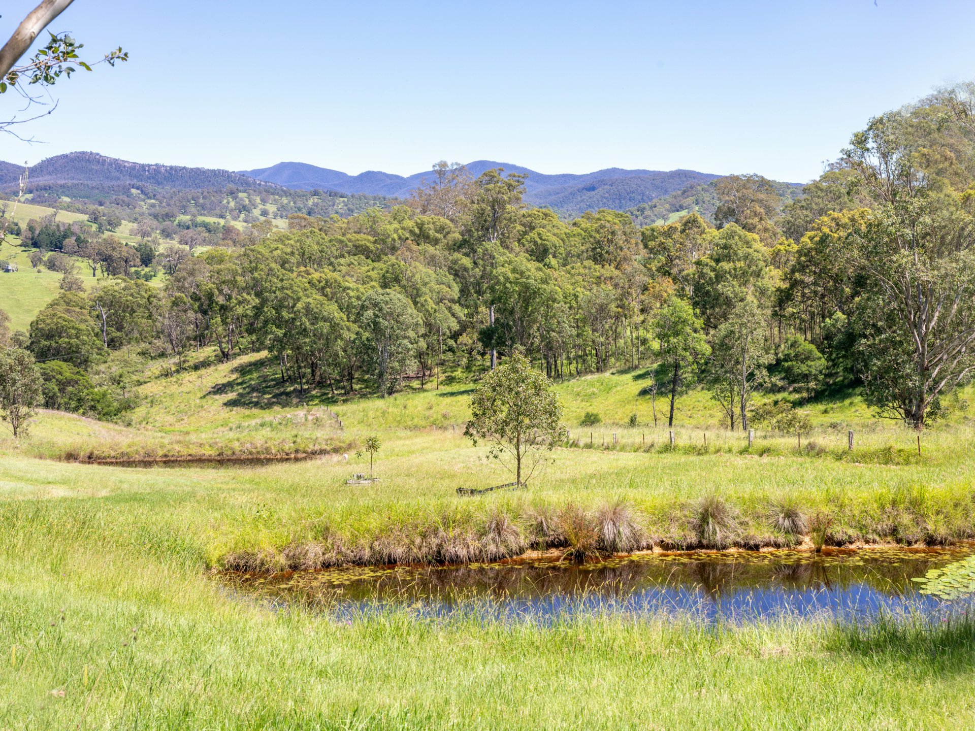 85 Scotland Yard Road, BEGA