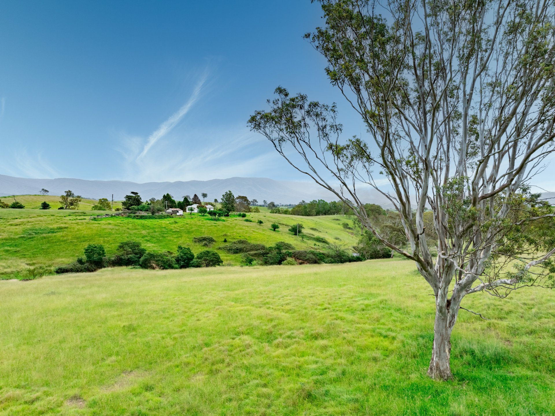 423 Sams Corner Road Bemboka NSW AcreageSemirural for Sale LJ Hooker