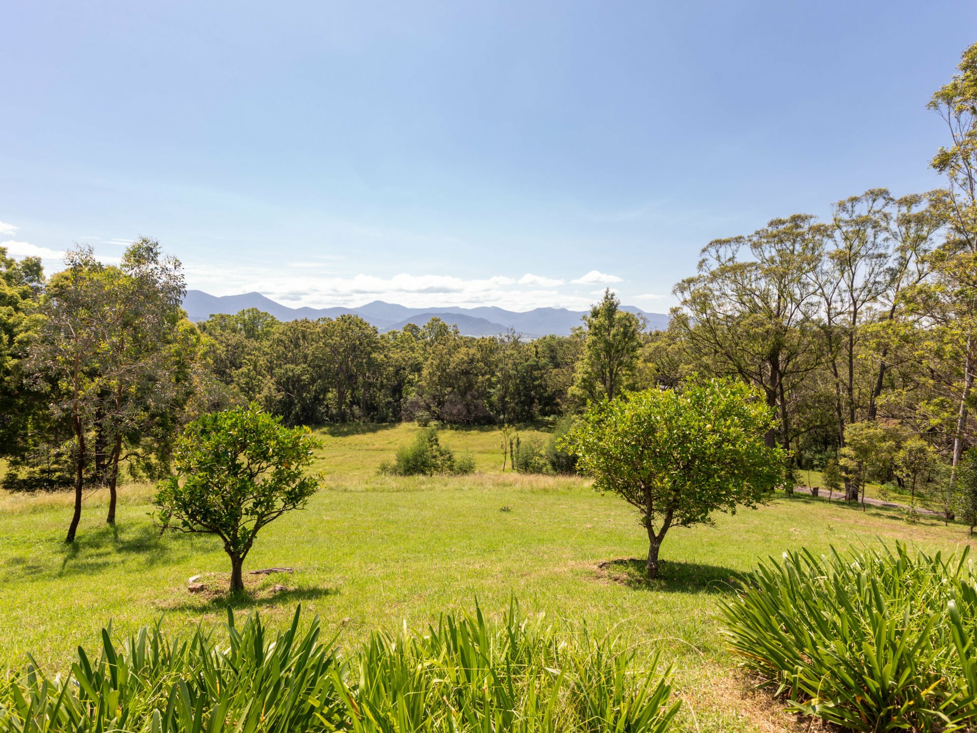 52 Buckleys Ridge Road, BEMBOKA