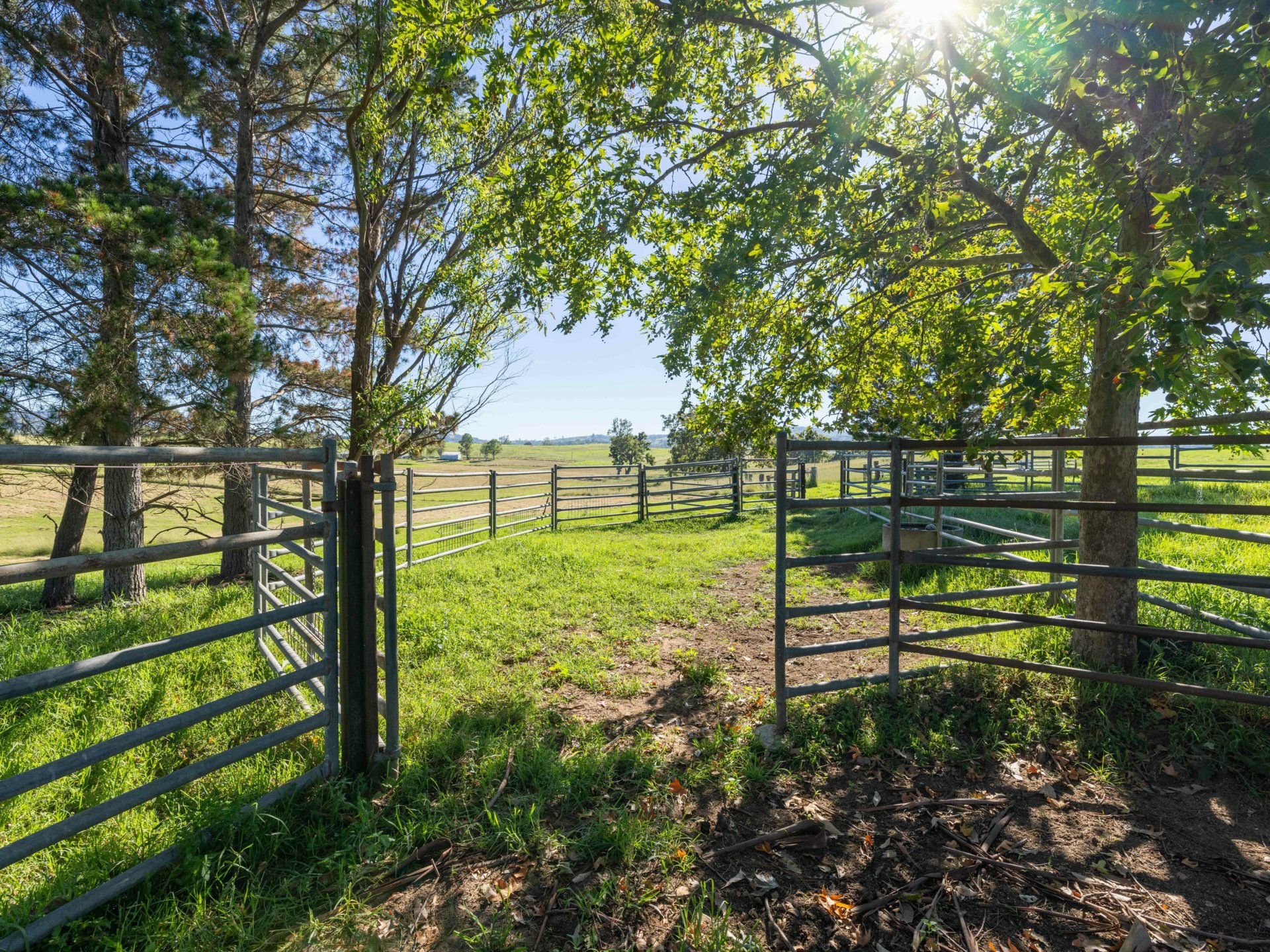 684 West Kameruka Road, CANDELO