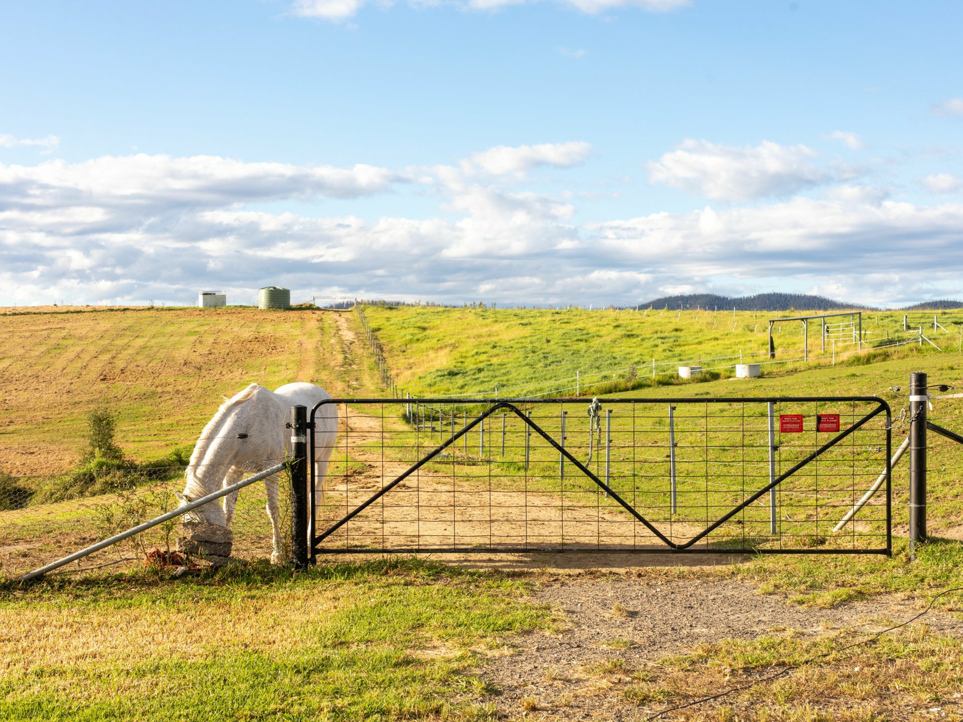 334 Yowrie Road Cobargo NSW AcreageSemirural for Sale LJ Hooker