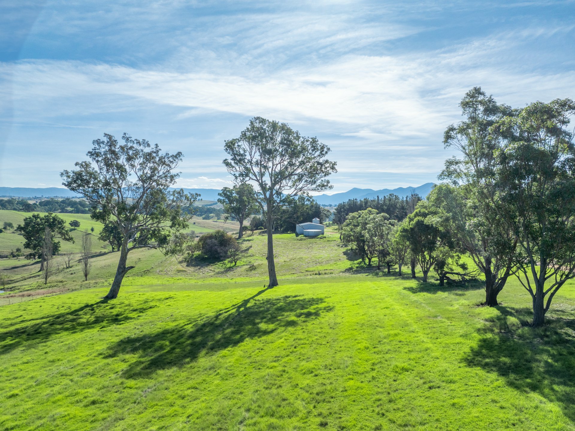 850 Mogilla Road, CANDELO