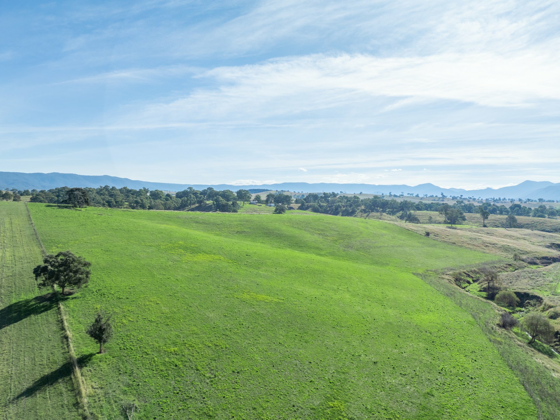 850 Mogilla Road, CANDELO