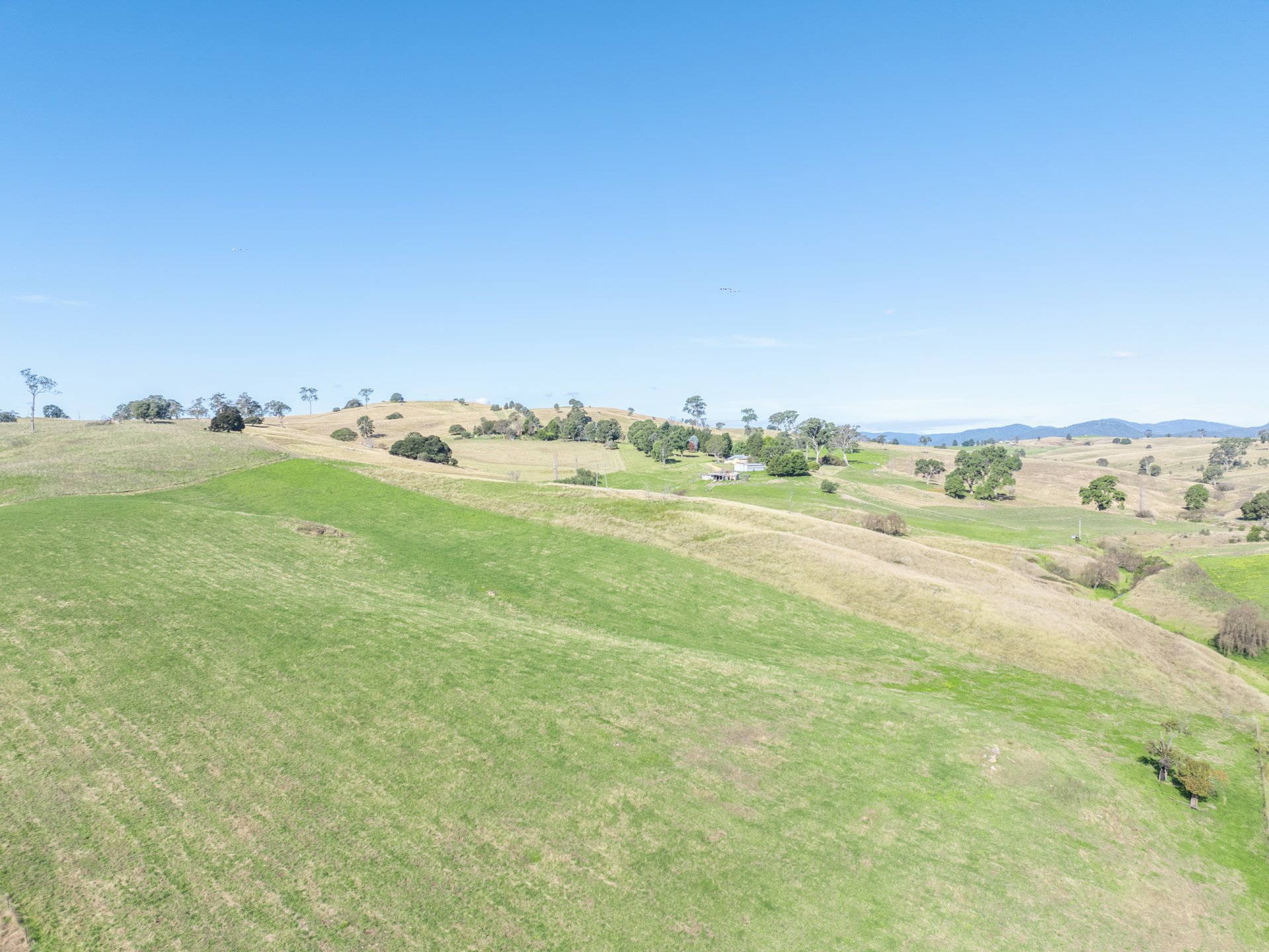 850 Mogilla Road, CANDELO