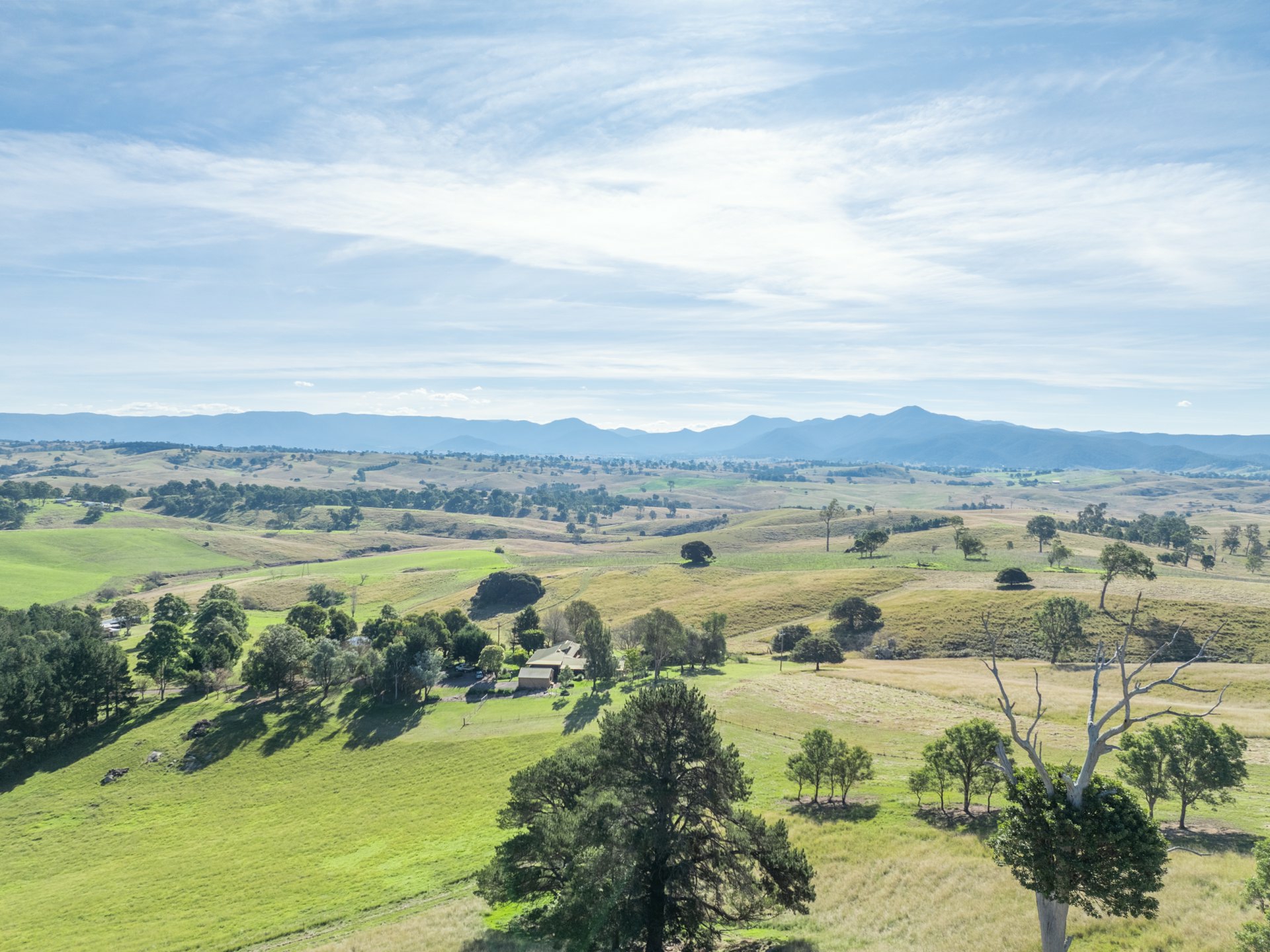 850 Mogilla Road, CANDELO