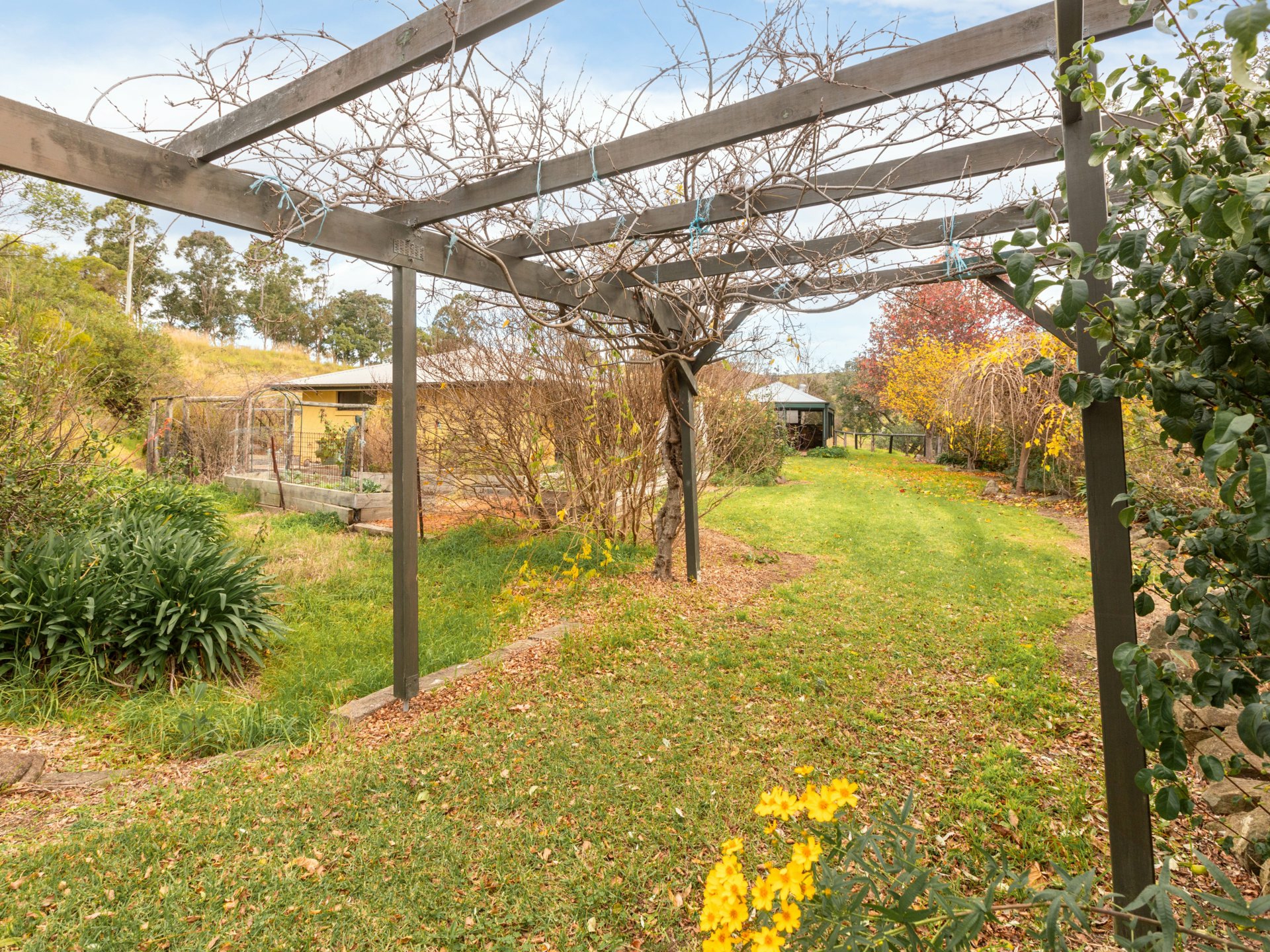 280 Daisy Hill Road, BEGA