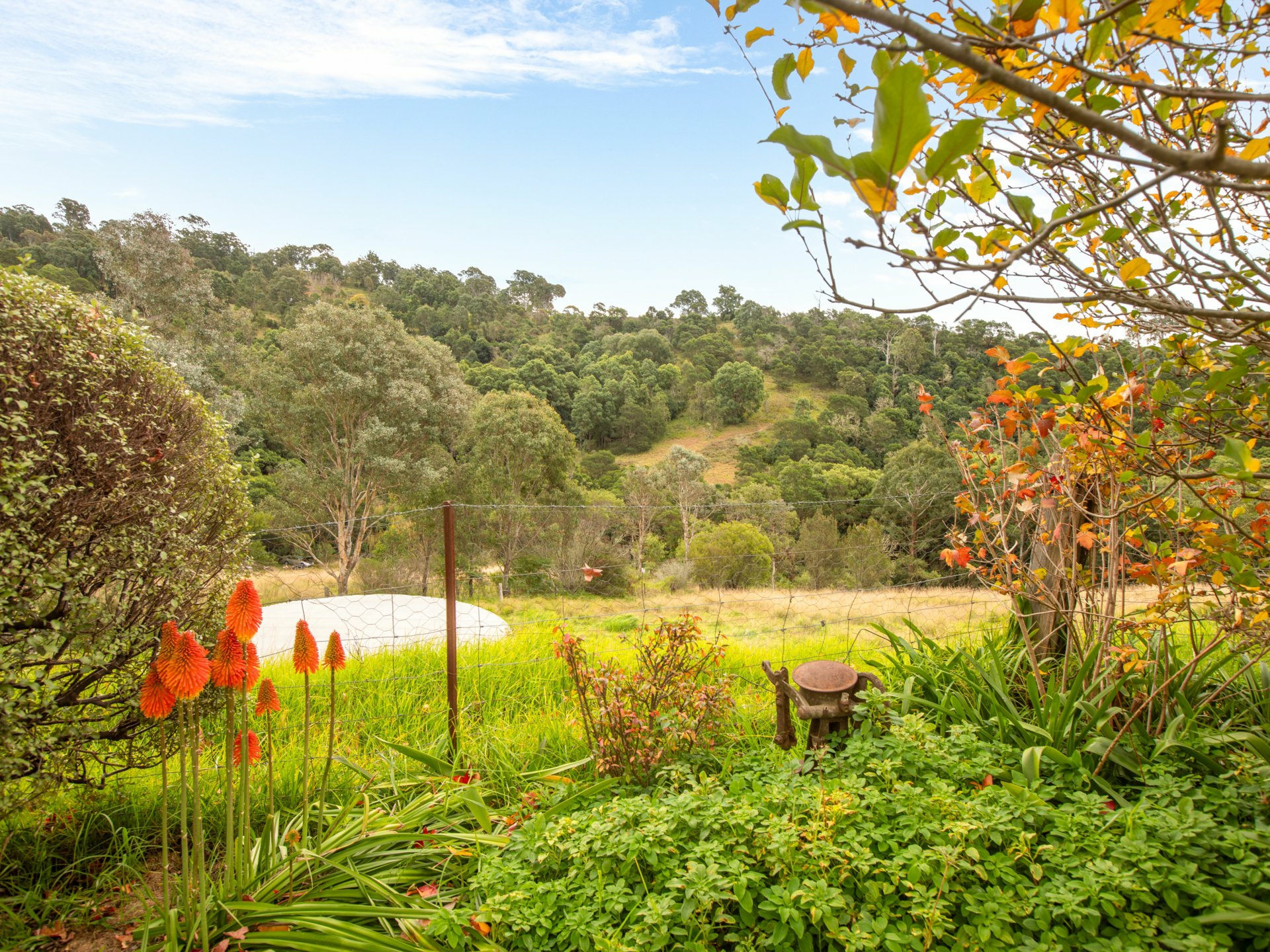 280 Daisy Hill Road, BEGA