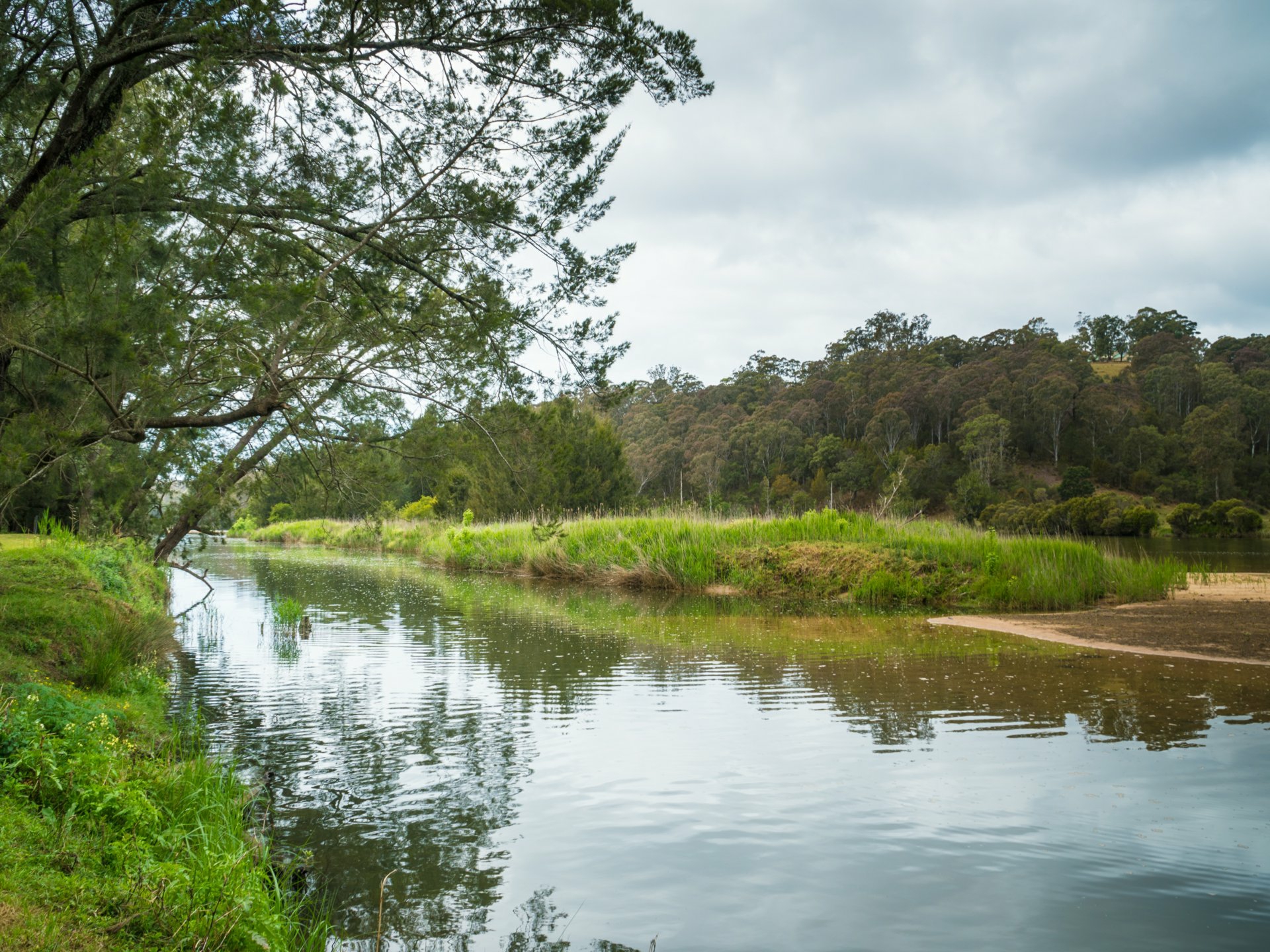 732 Reedy Swamp Road, BEGA