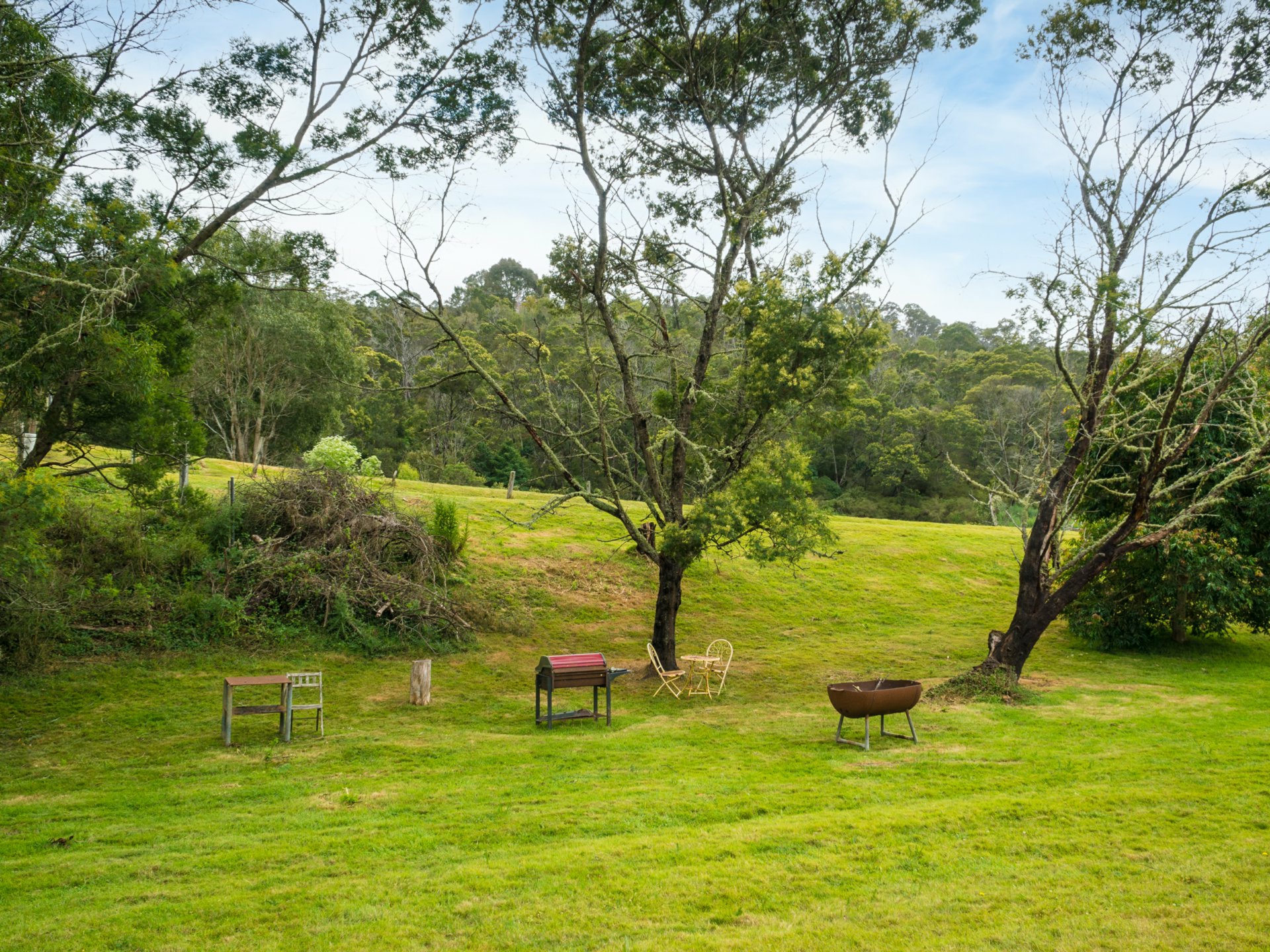 732 Reedy Swamp Road, BEGA
