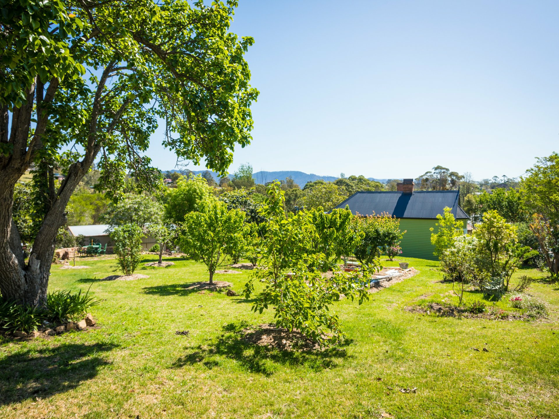19 Cobargo Bermagui Road, COBARGO