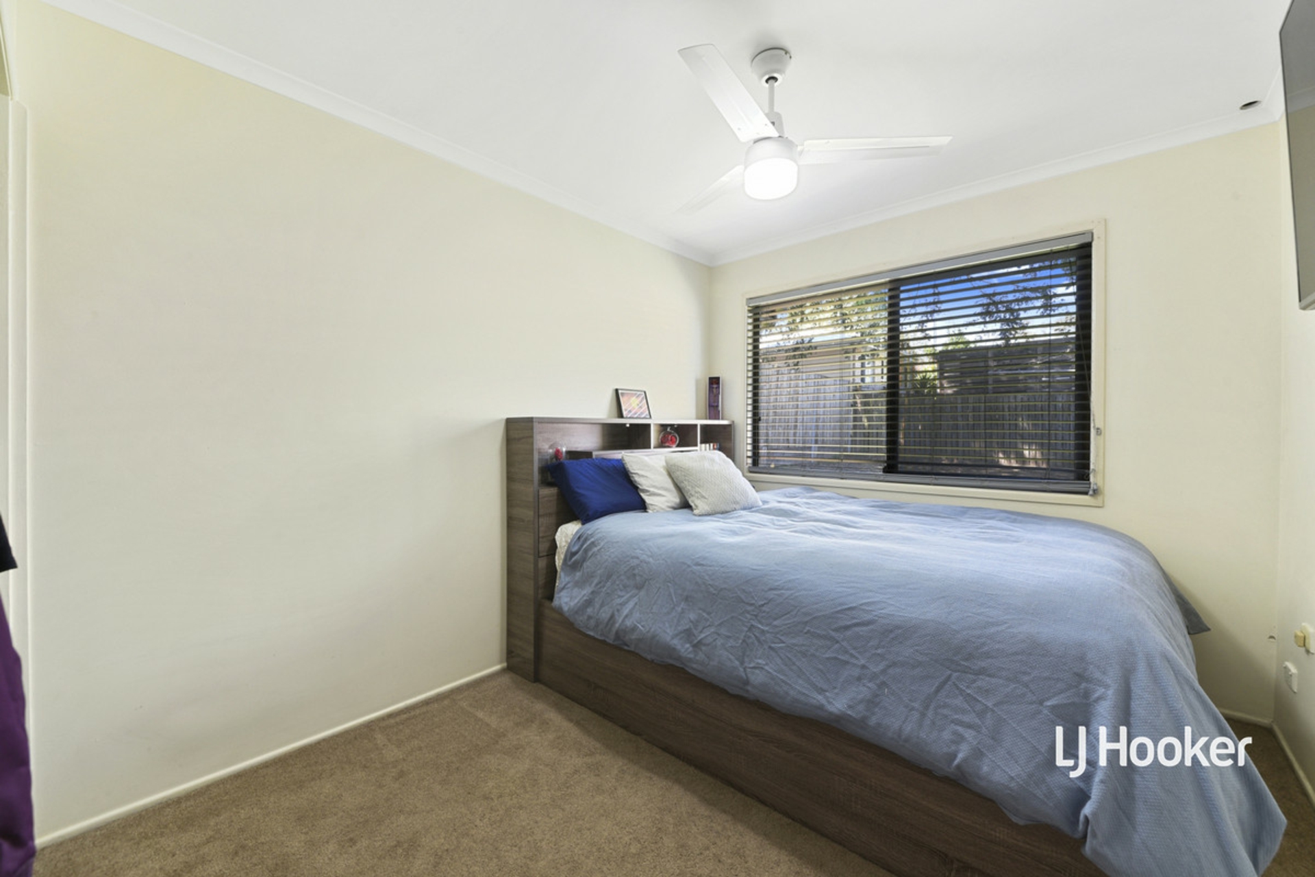 19 May Street, MANGO HILL