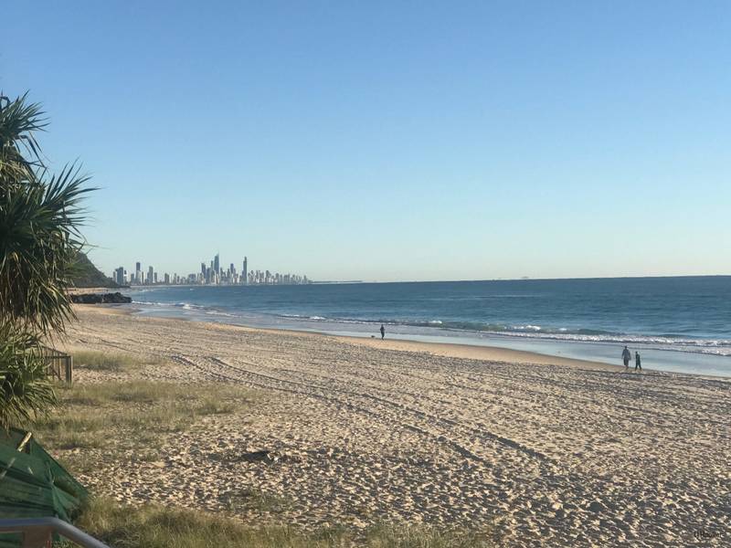11105/1328 Gold Coast Highway, PALM BEACH