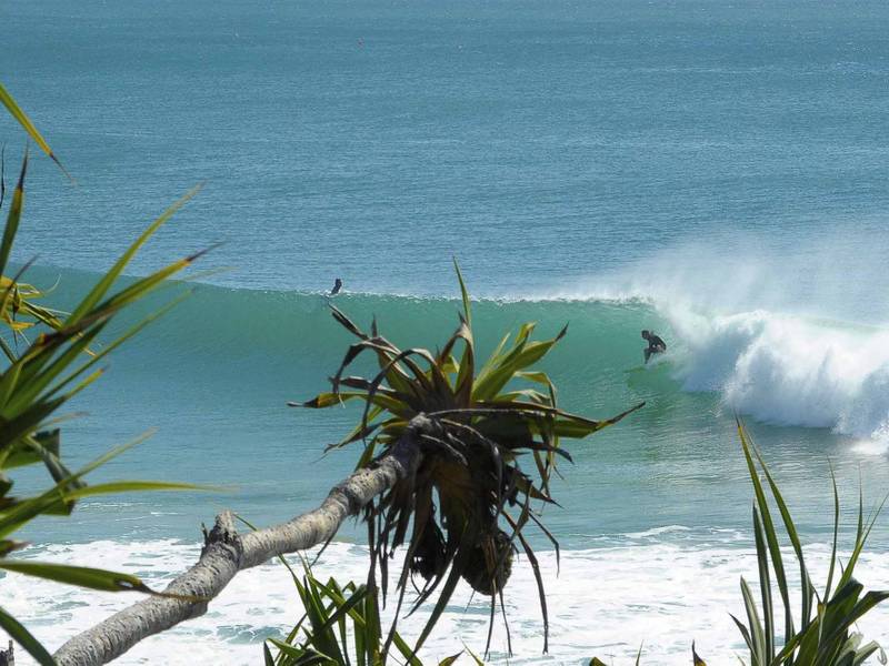 5 Quoll Close, BURLEIGH HEADS