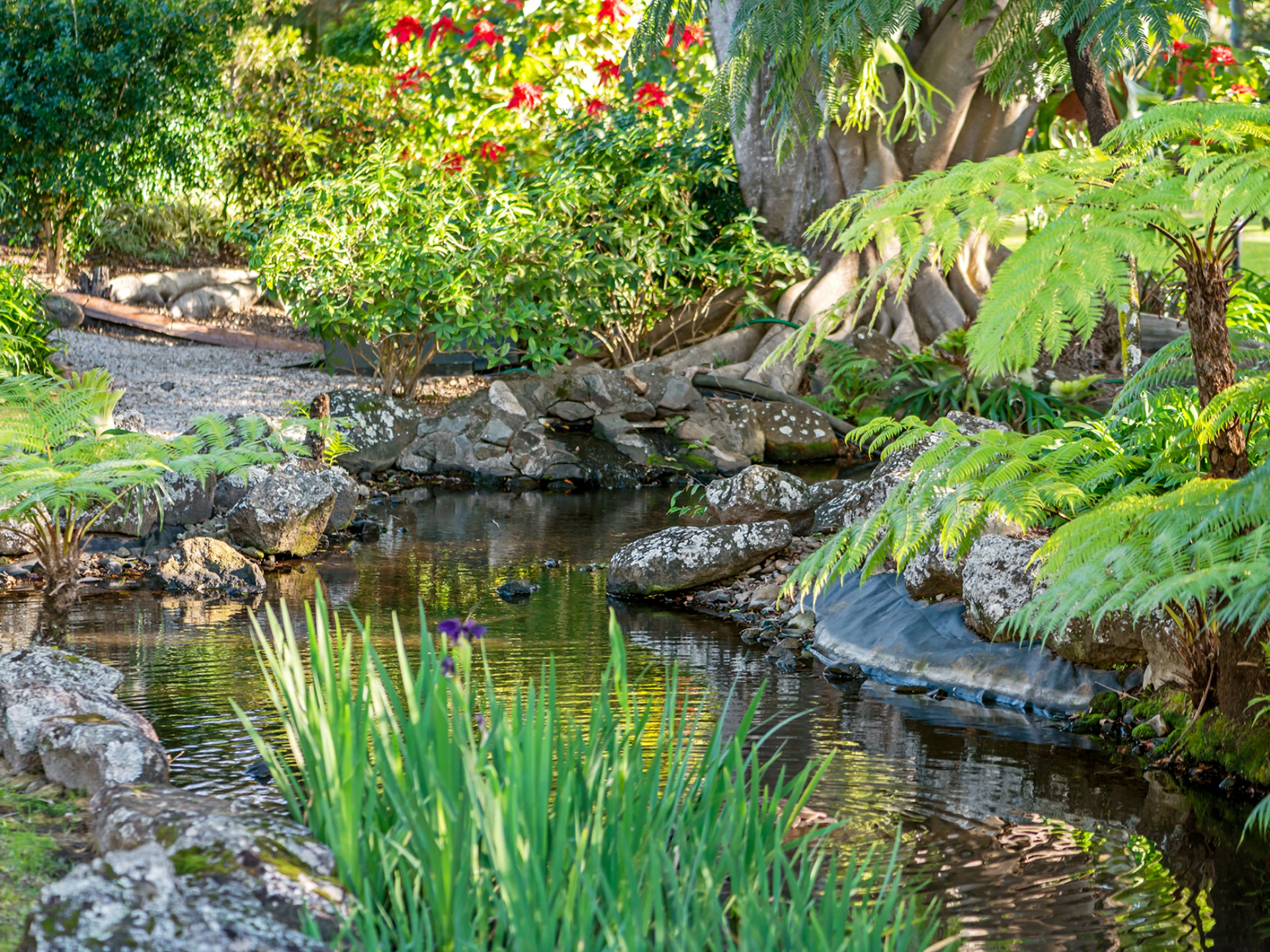 44/56-70 Guineas Creek Road, CURRUMBIN WATERS