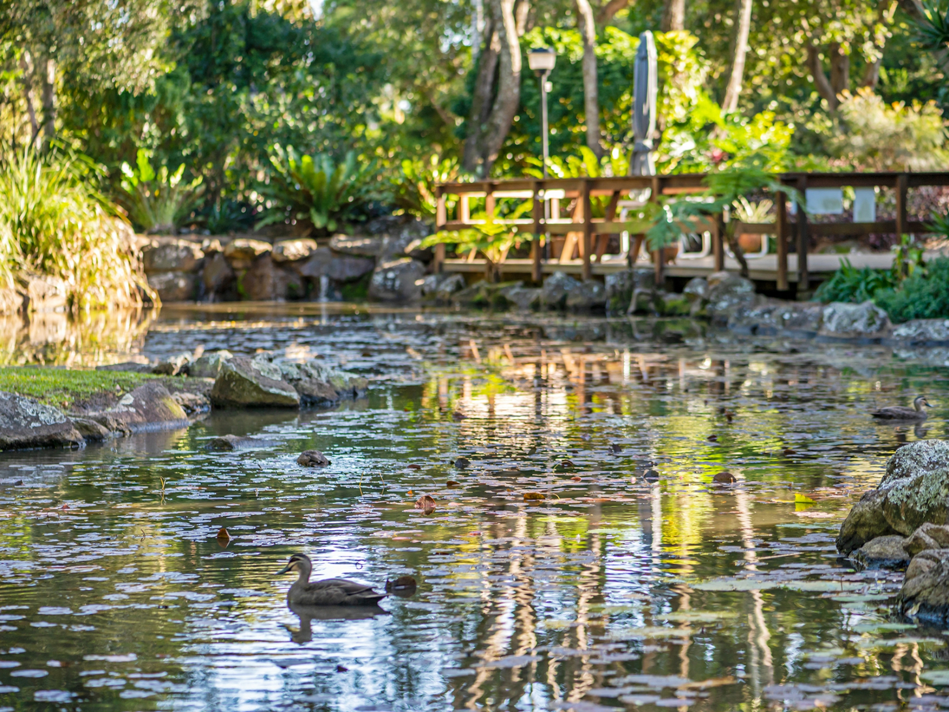 44/56-70 Guineas Creek Road, CURRUMBIN WATERS