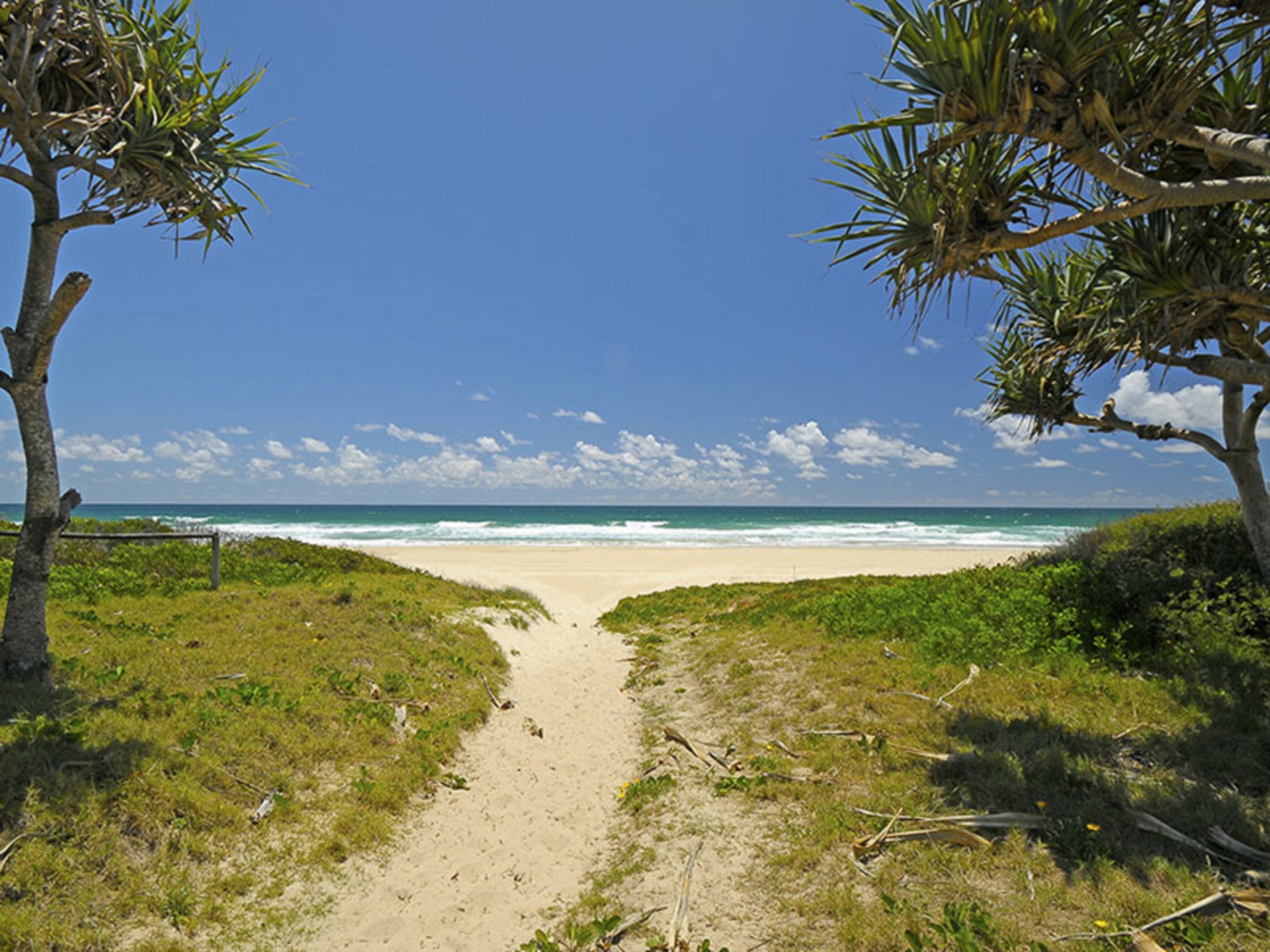 408/1483-1489 Gold Coast Highway, PALM BEACH