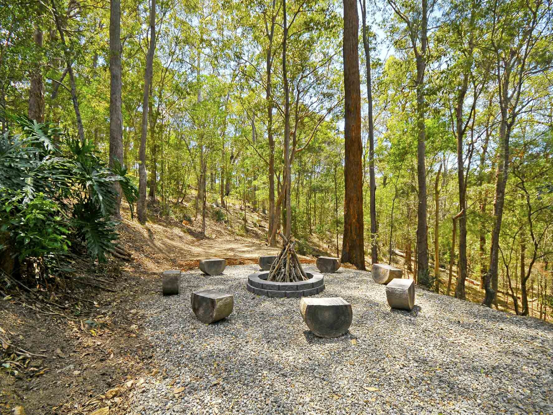 6 Dorset Place, ELANORA