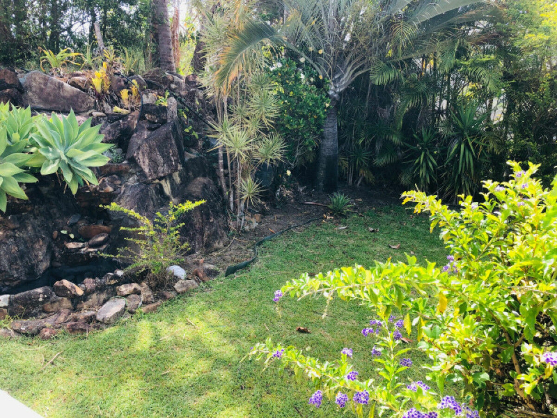 Elanora, 4221