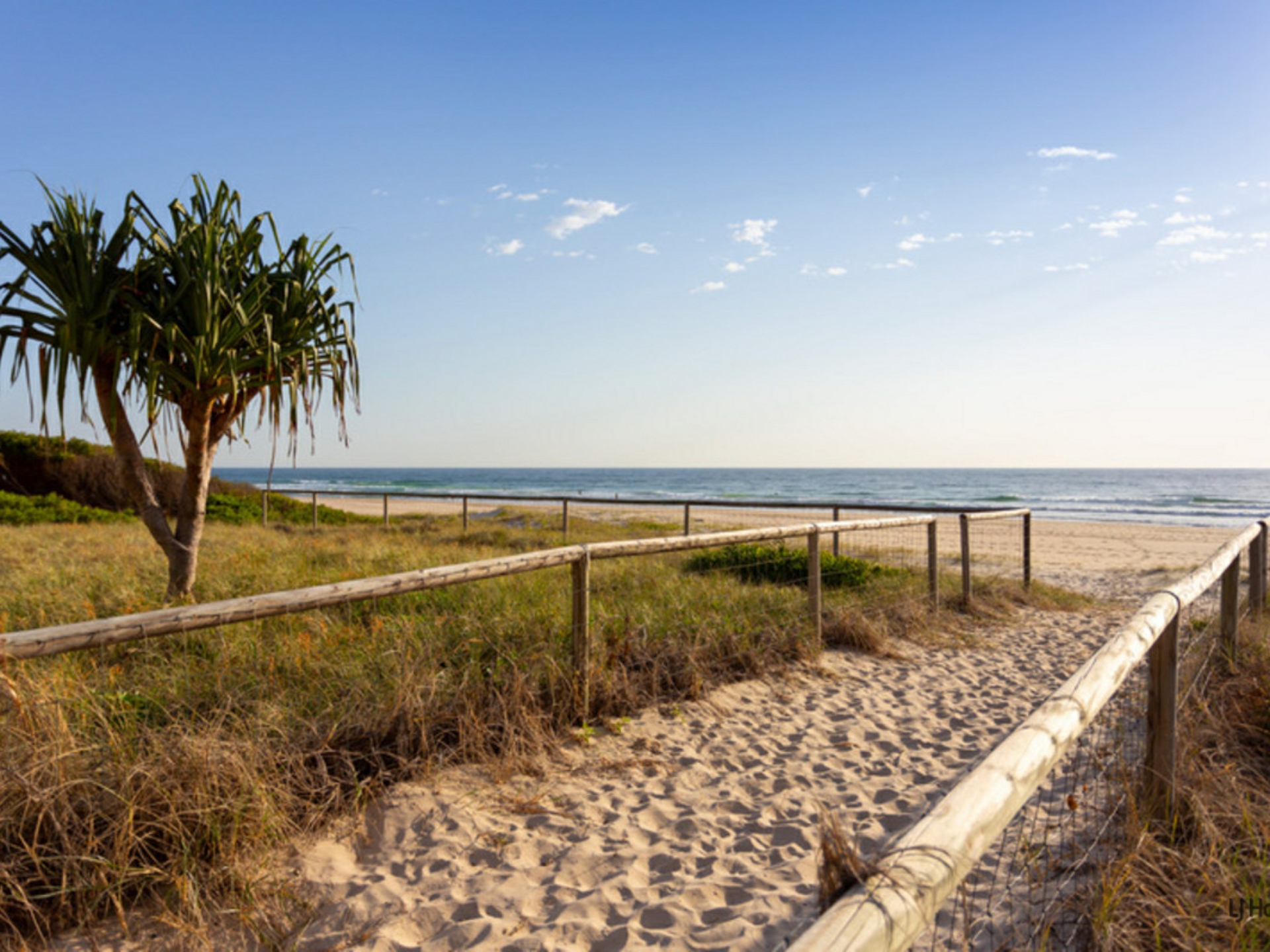 3/1449 Gold Coast Highway, PALM BEACH