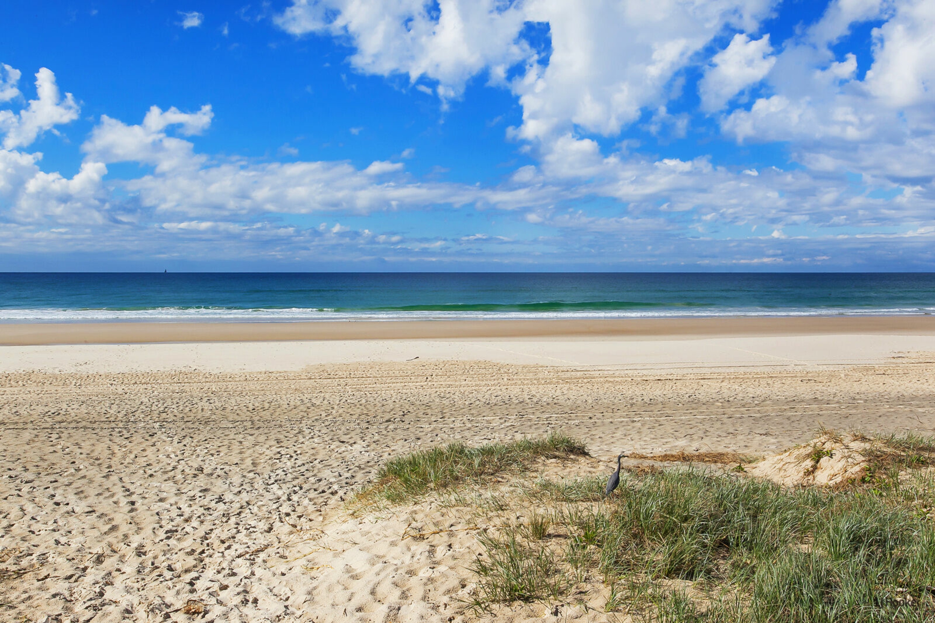 1611/10 Fifth Avenue, PALM BEACH