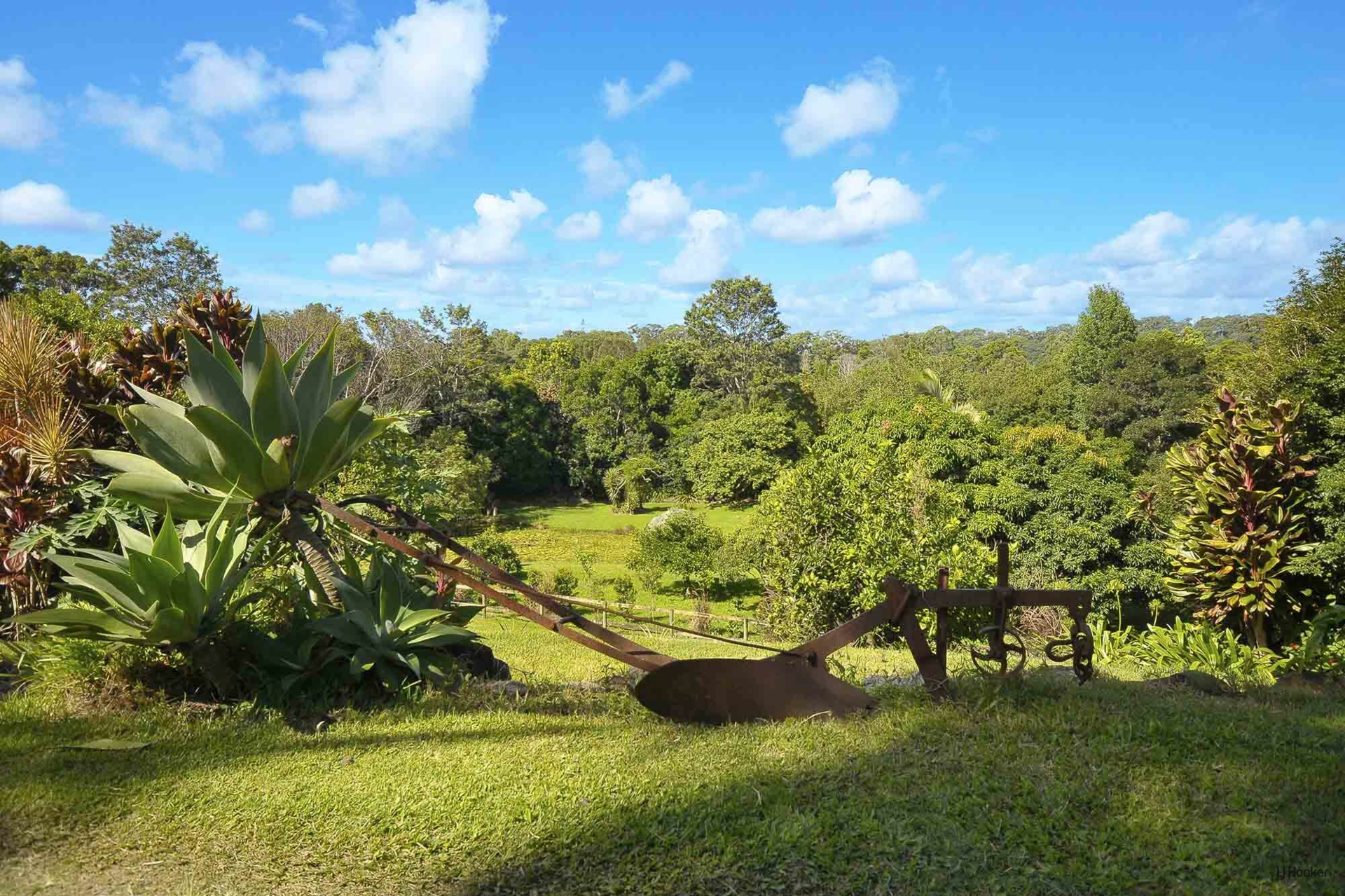 50 Dungogie Drive, Tallebudgera