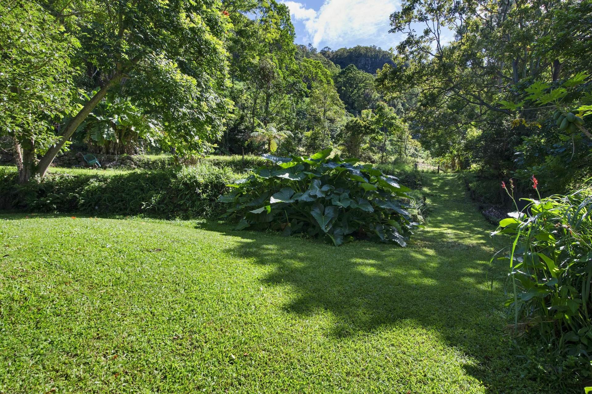78 Estelle Road, CURRUMBIN VALLEY