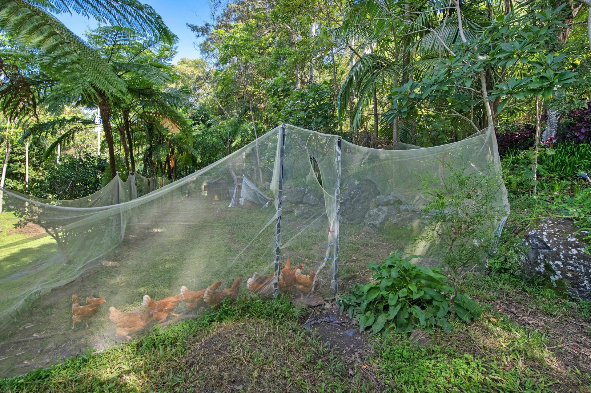 78 Estelle Road, CURRUMBIN VALLEY