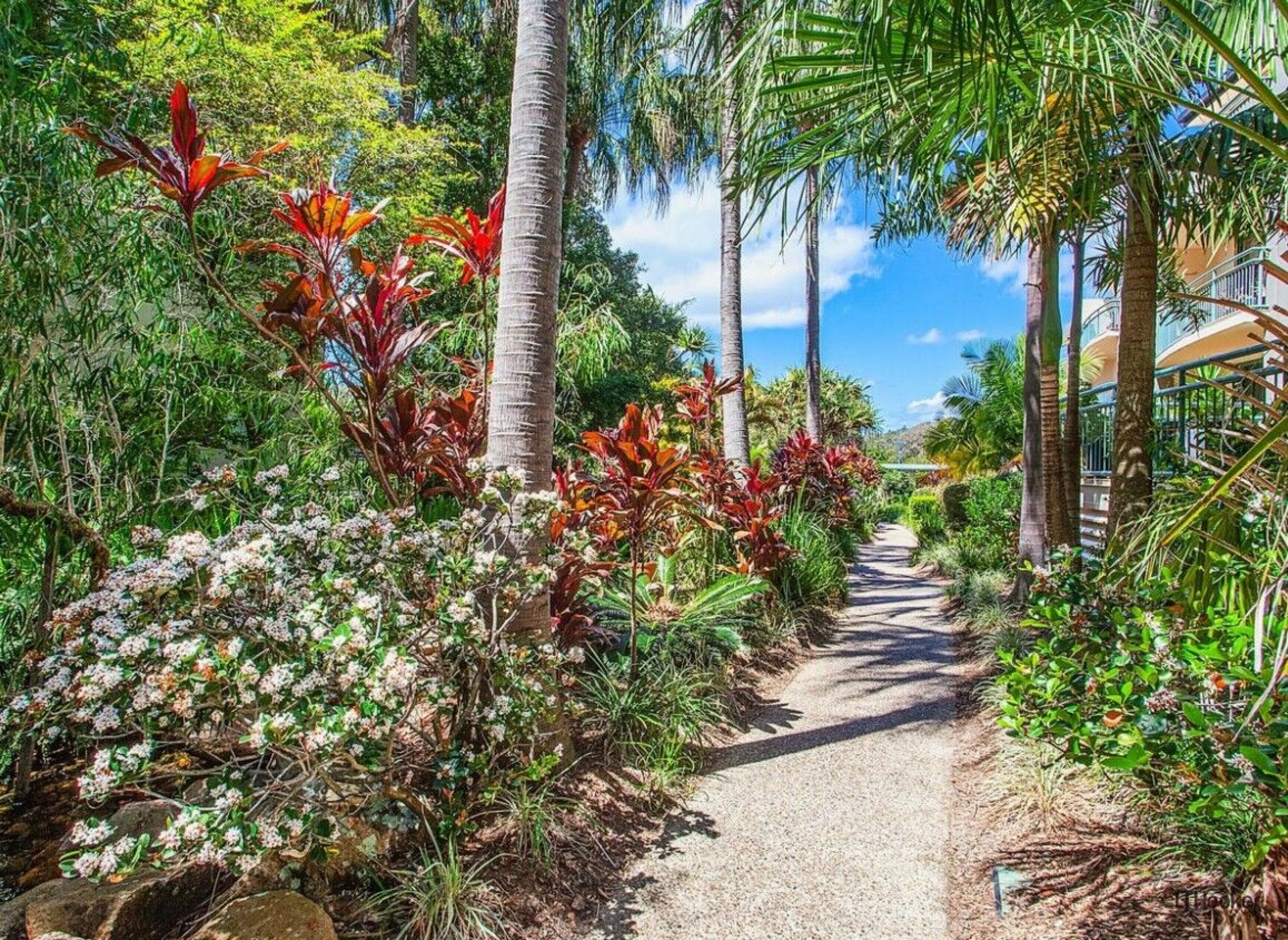 104/955 Gold Coast Highway, PALM BEACH