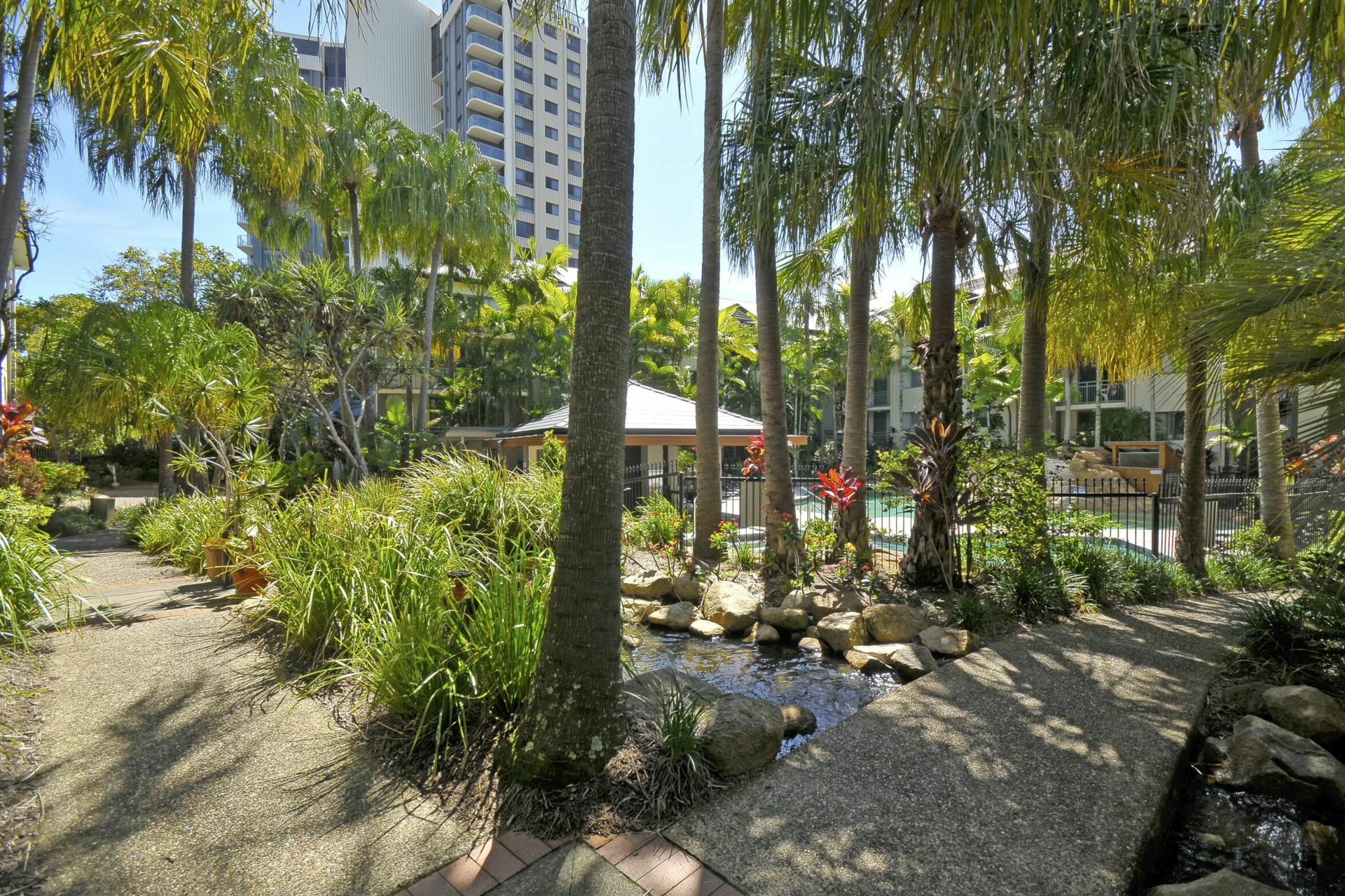 104/955 Gold Coast Highway, PALM BEACH