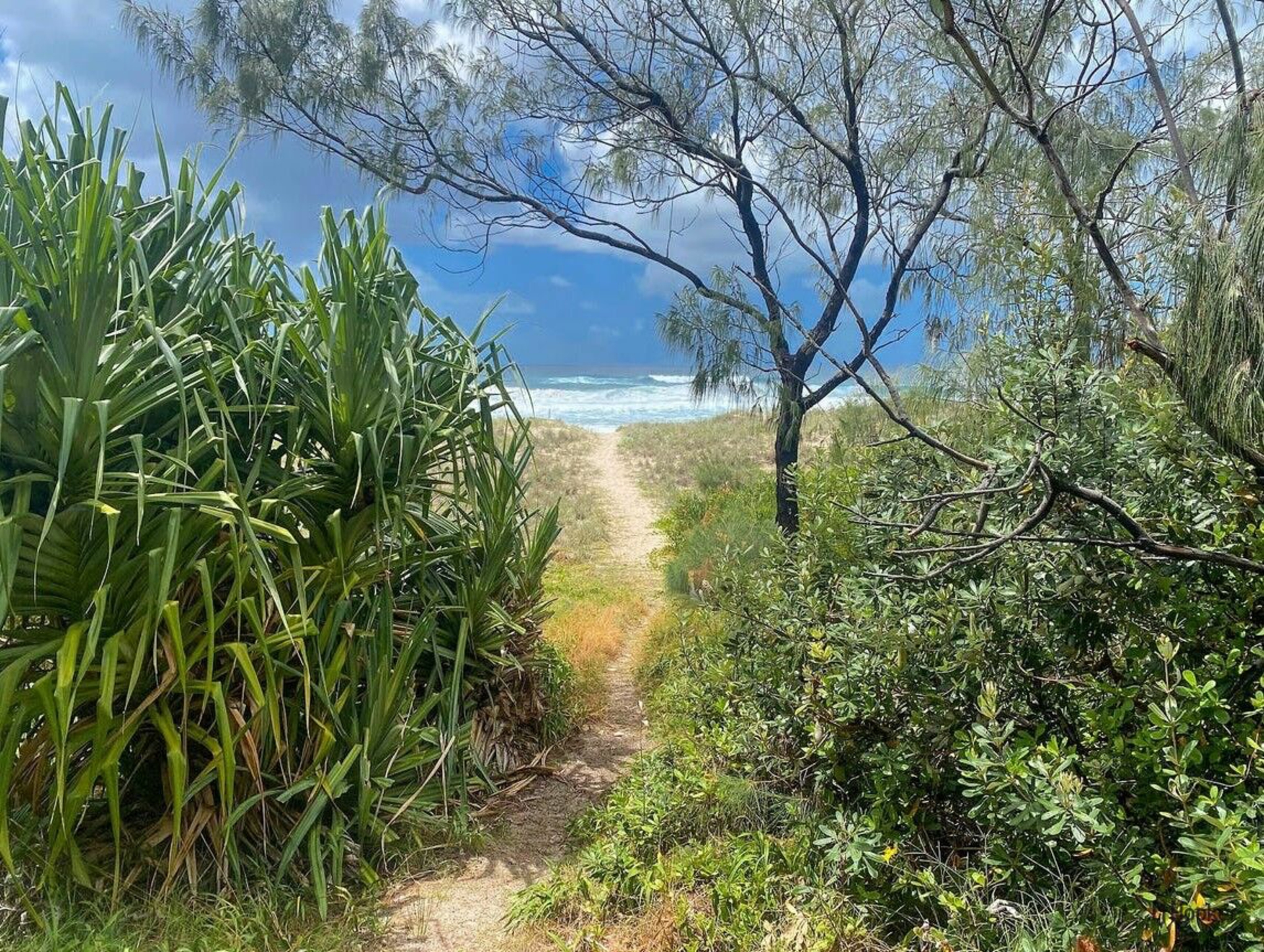 2/57 Tweed Coast Road, HASTINGS POINT