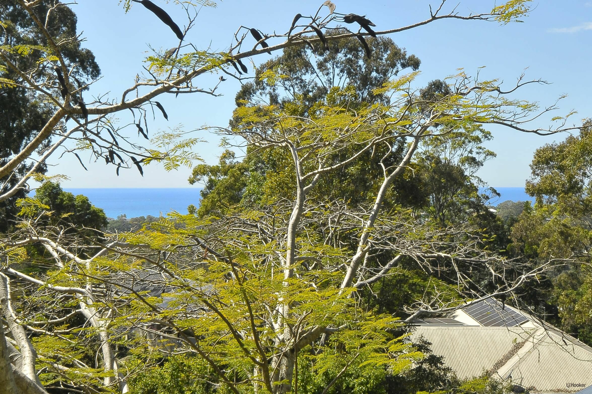 6 Sanctuary Crescent — photo 8 of 27