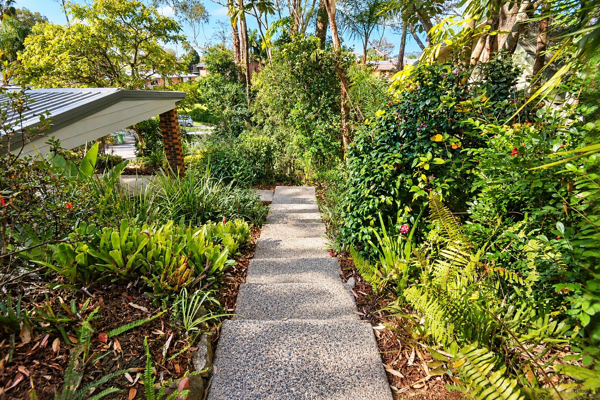 6 Illyria Street — photo 3 of 20