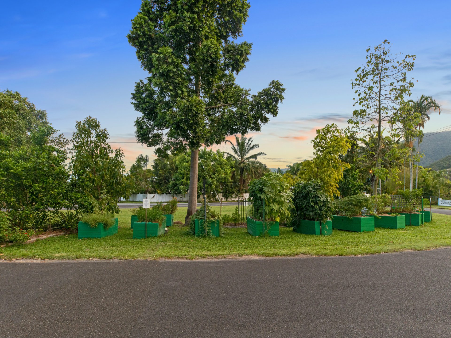 6 Draper Place, WHITFIELD