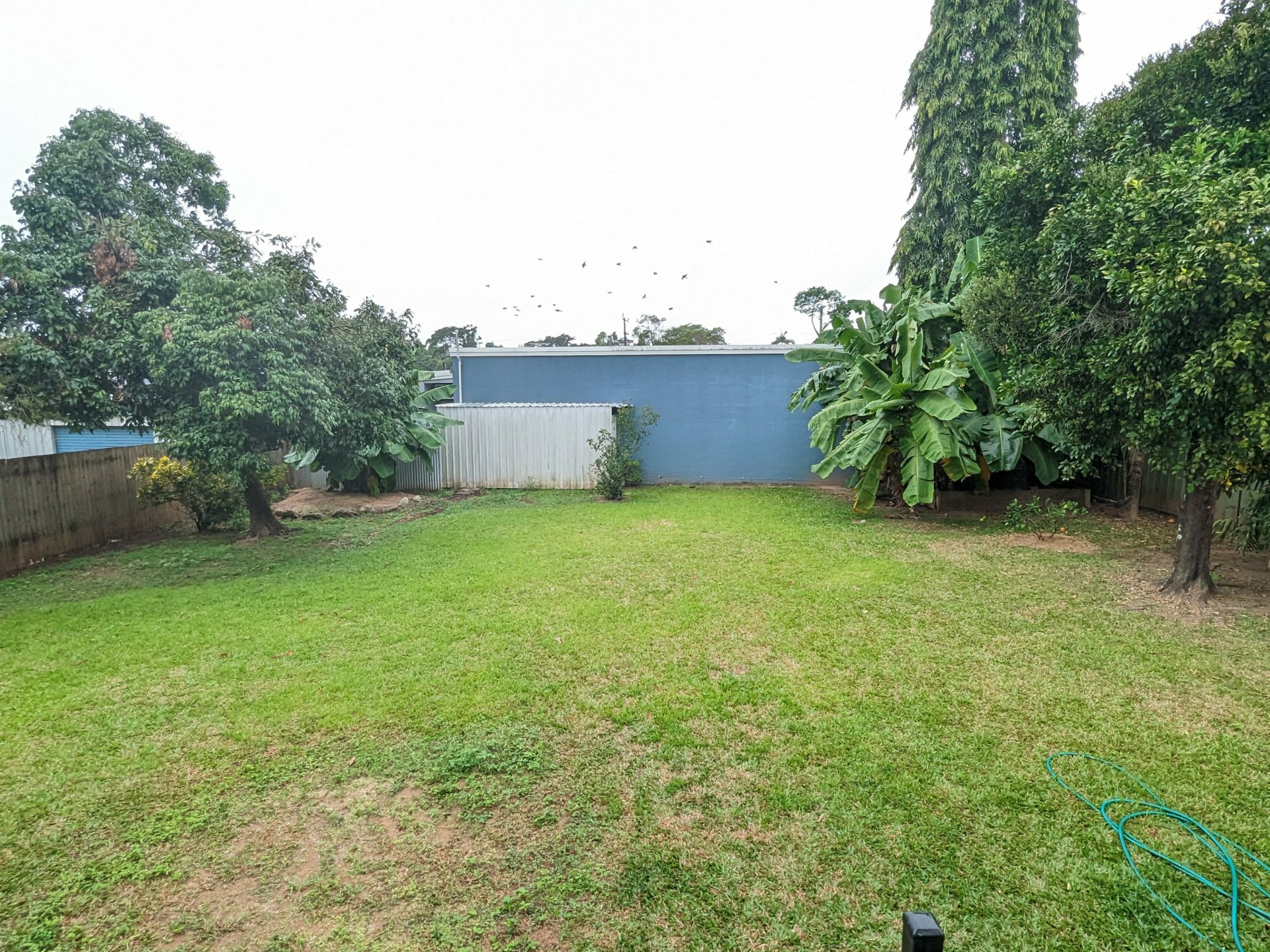 9 Mango Drive, EARLVILLE