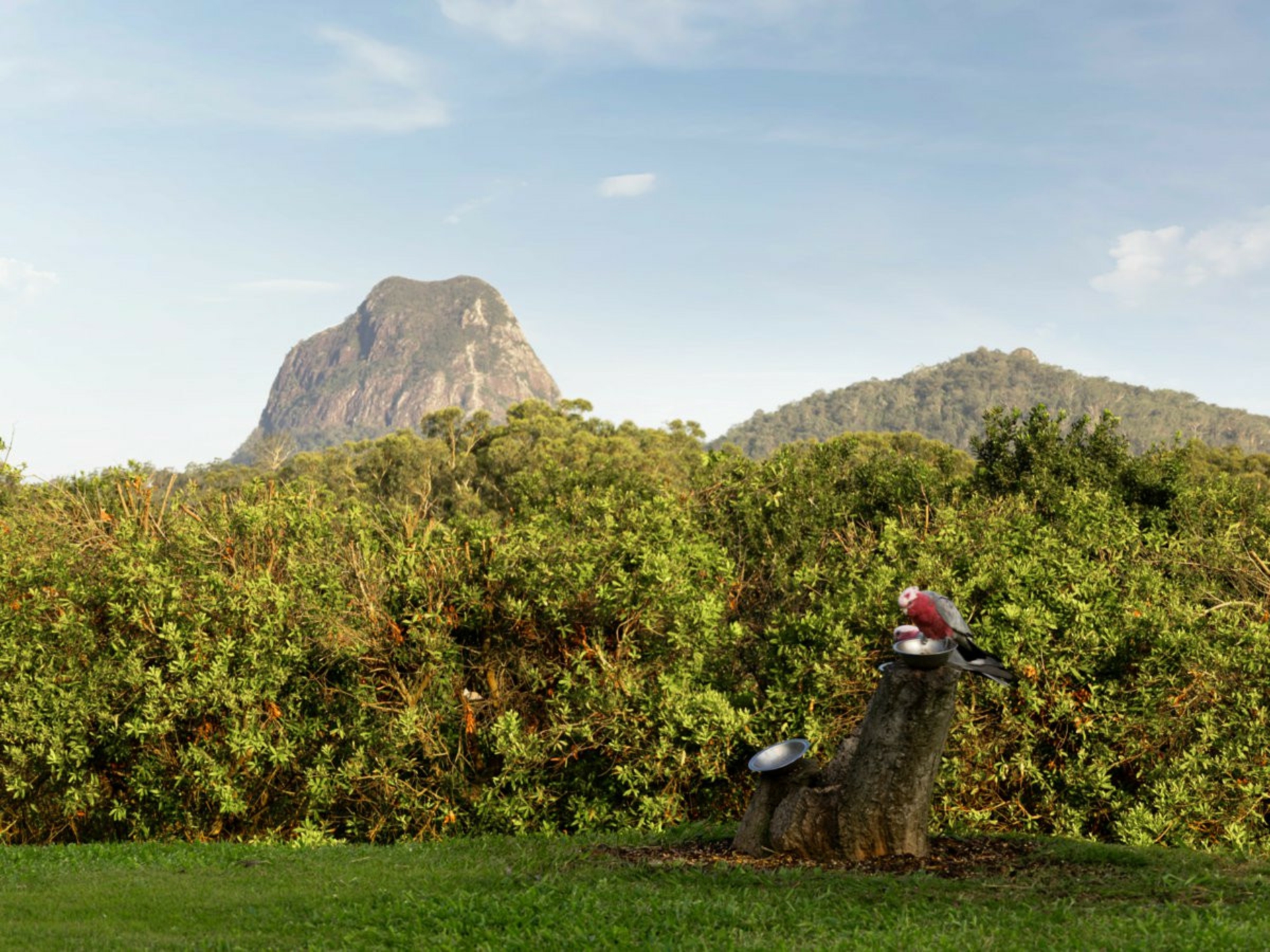 29 Woodrows Road, GLASS HOUSE MOUNTAINS