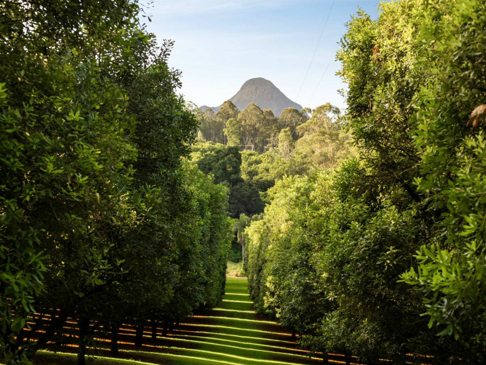 29 Woodrows Road, GLASS HOUSE MOUNTAINS