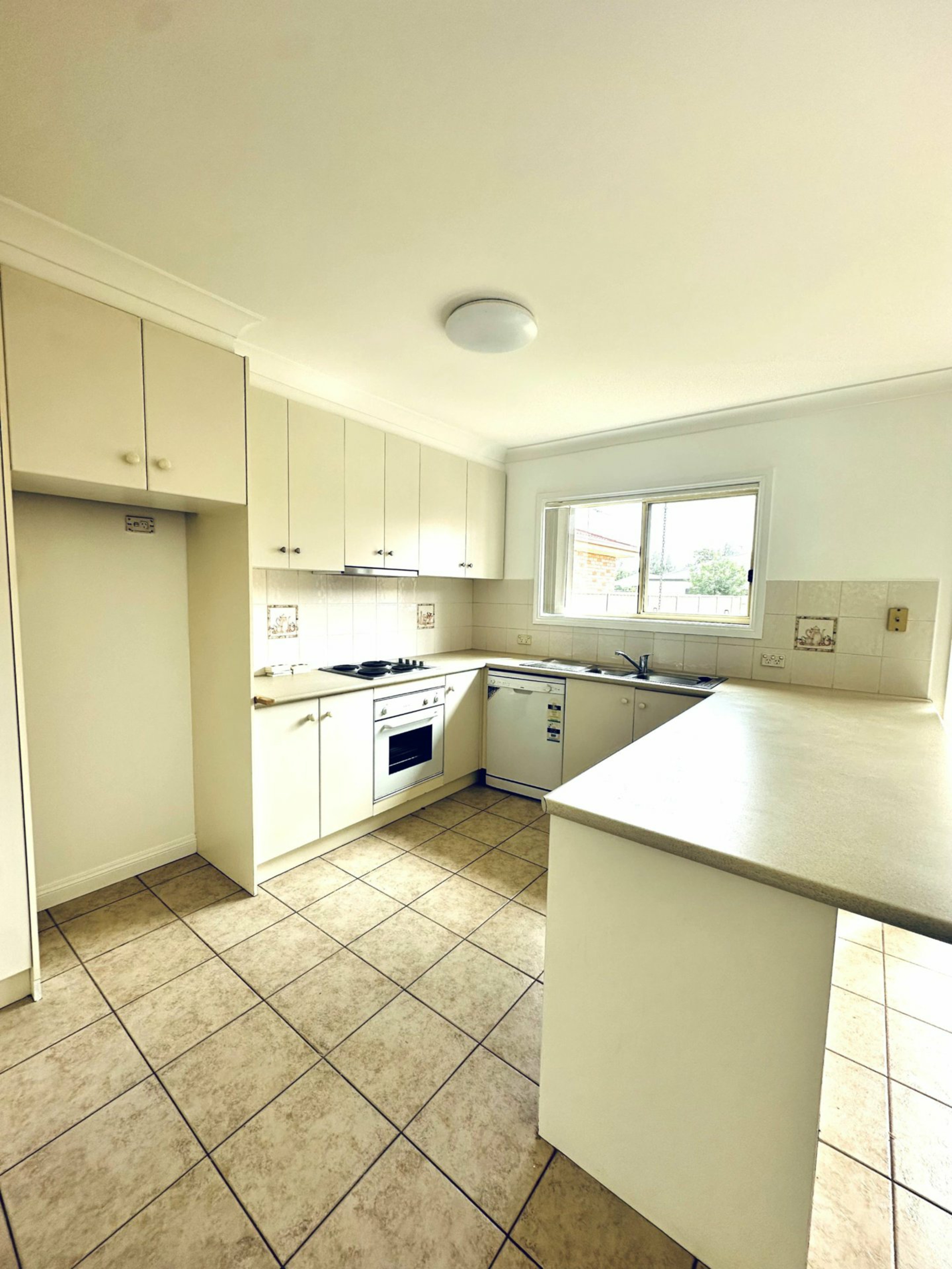 7B Nicholls Street — photo 2 of 6