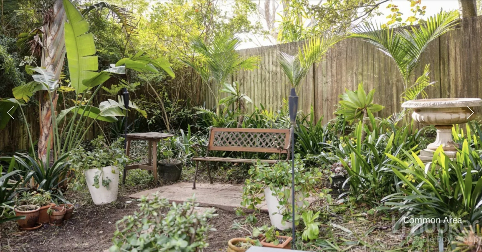 2/125 Bellevue Road, BELLEVUE HILL