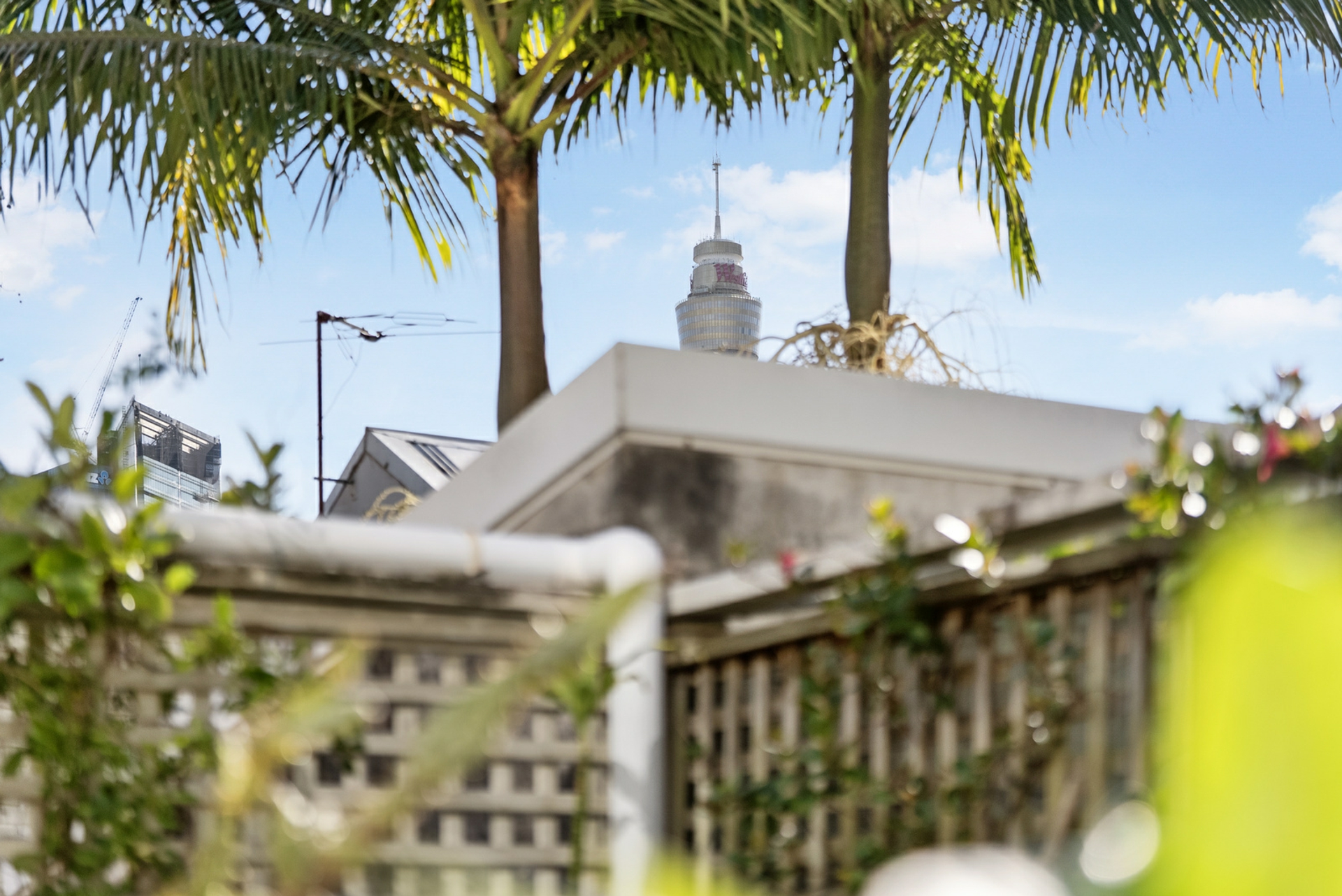 12 Chapel Street, DARLINGHURST