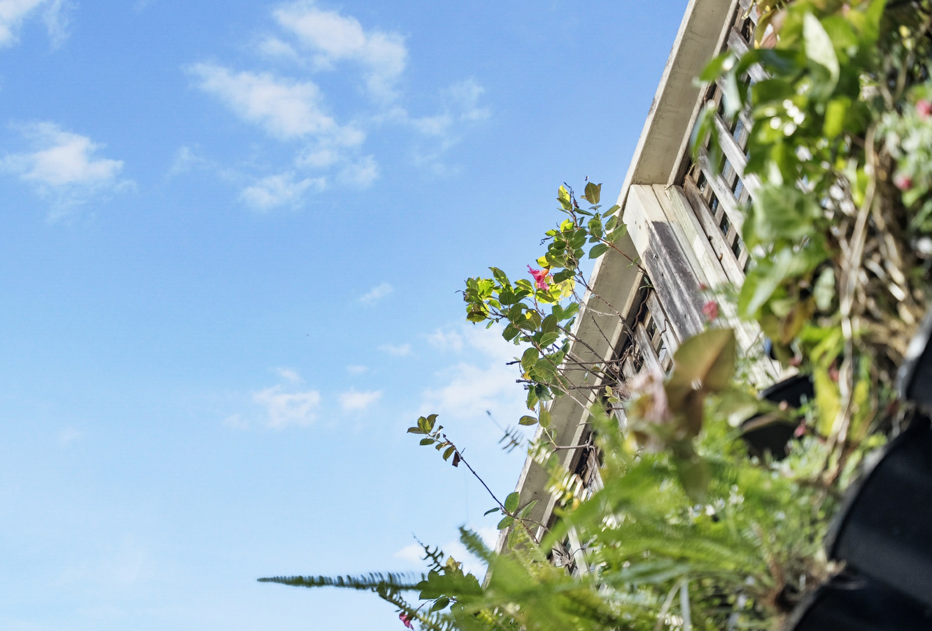 12 Chapel Street, DARLINGHURST