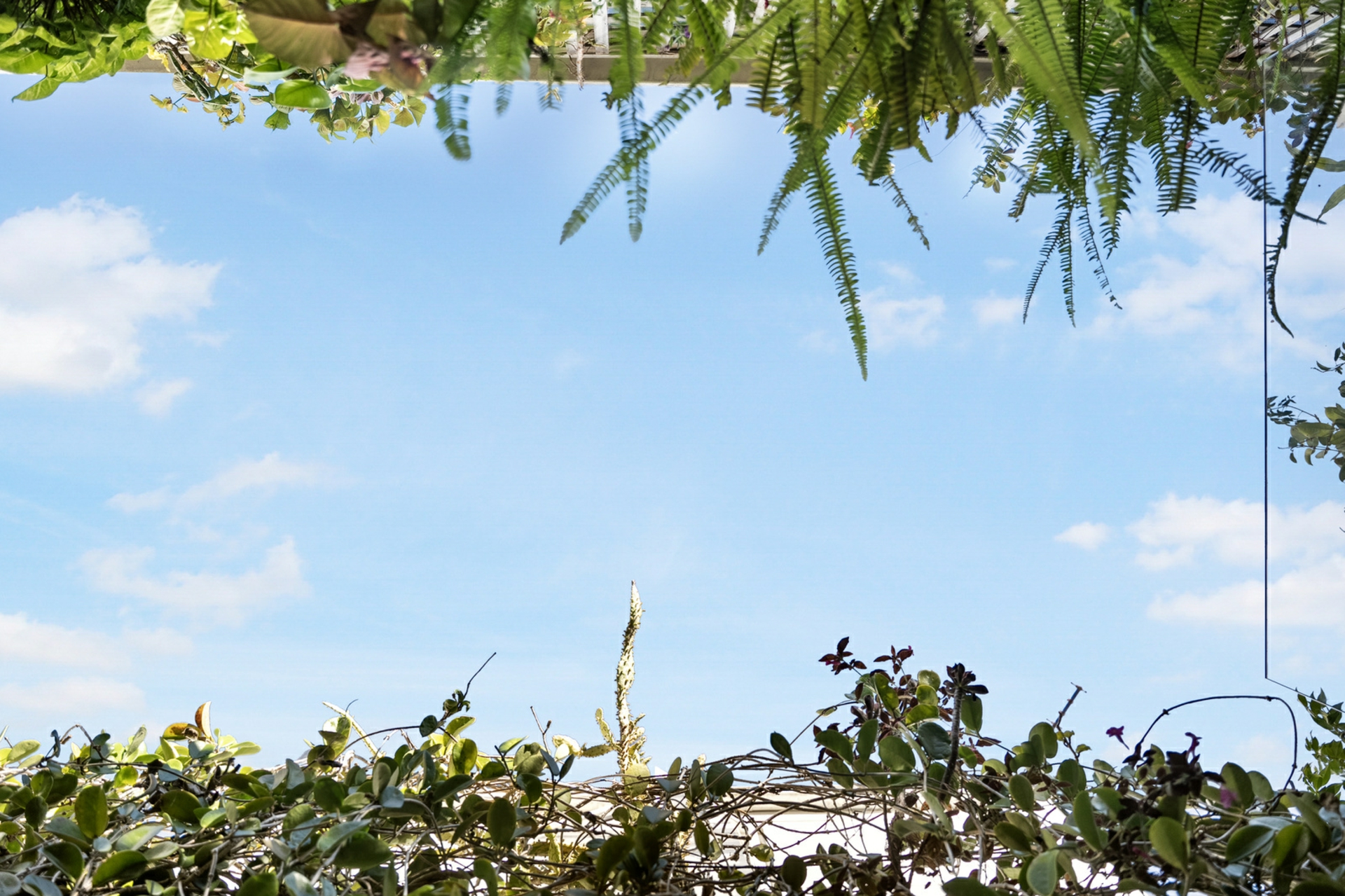 12 Chapel Street, DARLINGHURST