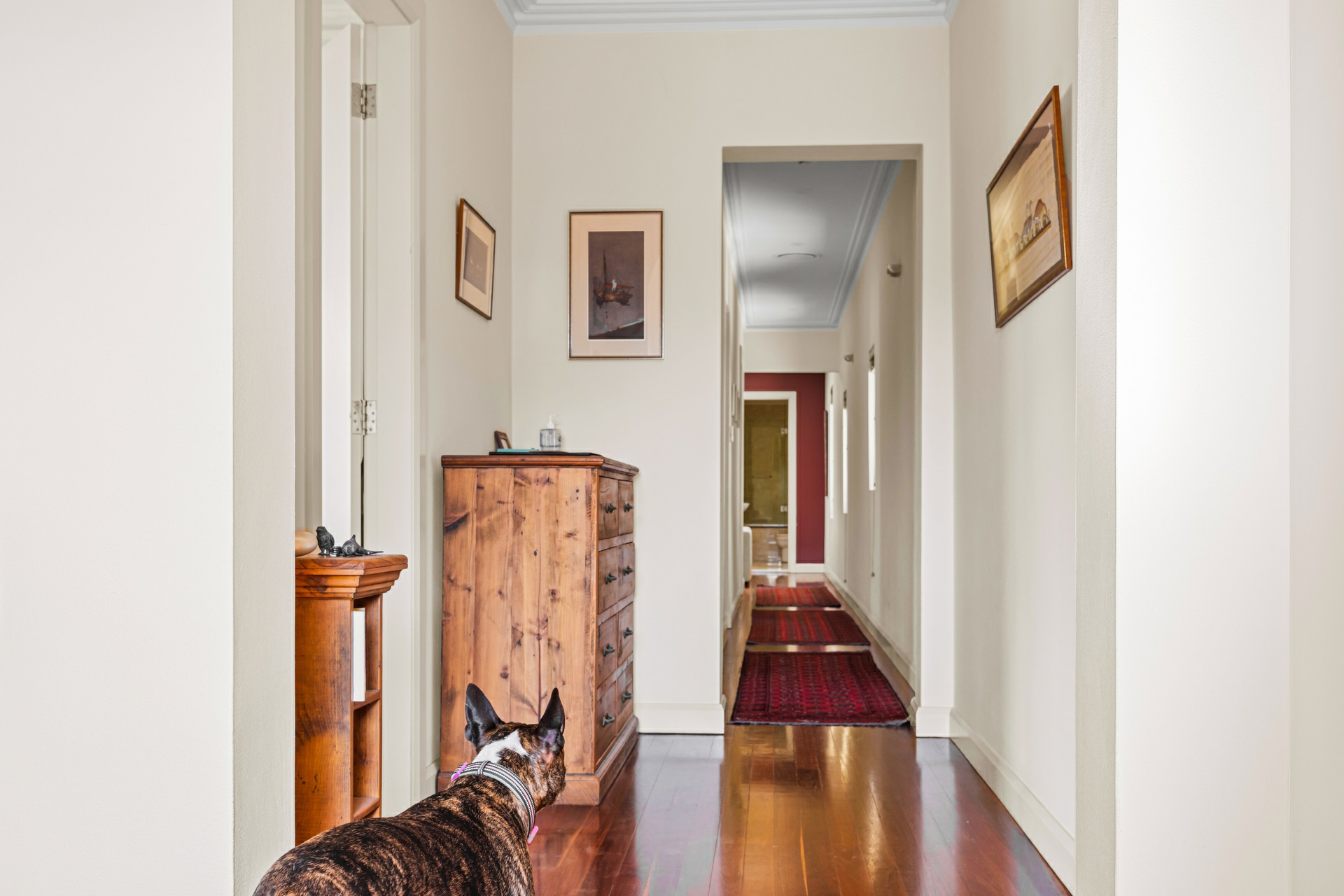 2/17 Berwick Street, Coogee