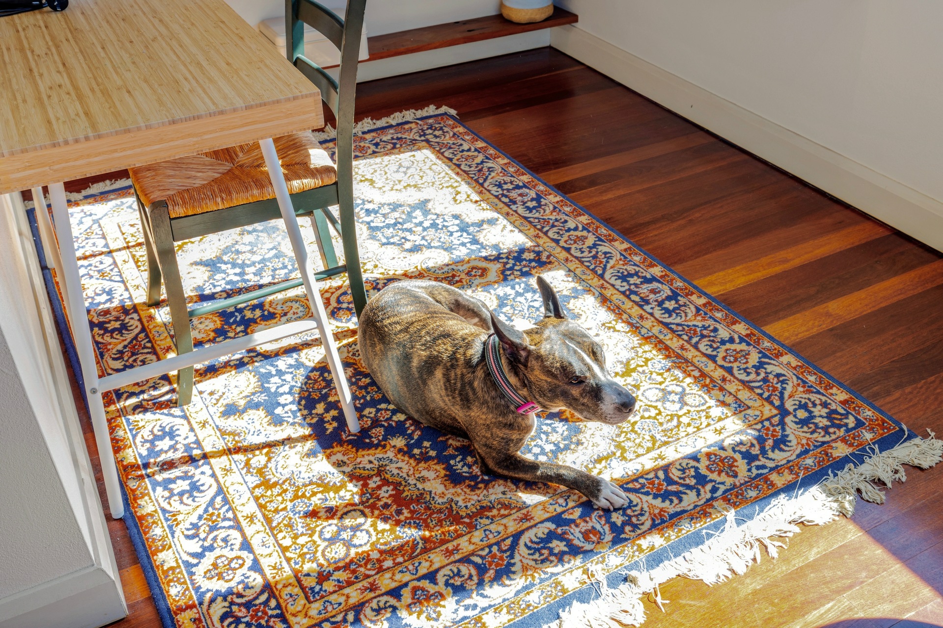 2/17 Berwick Street, Coogee