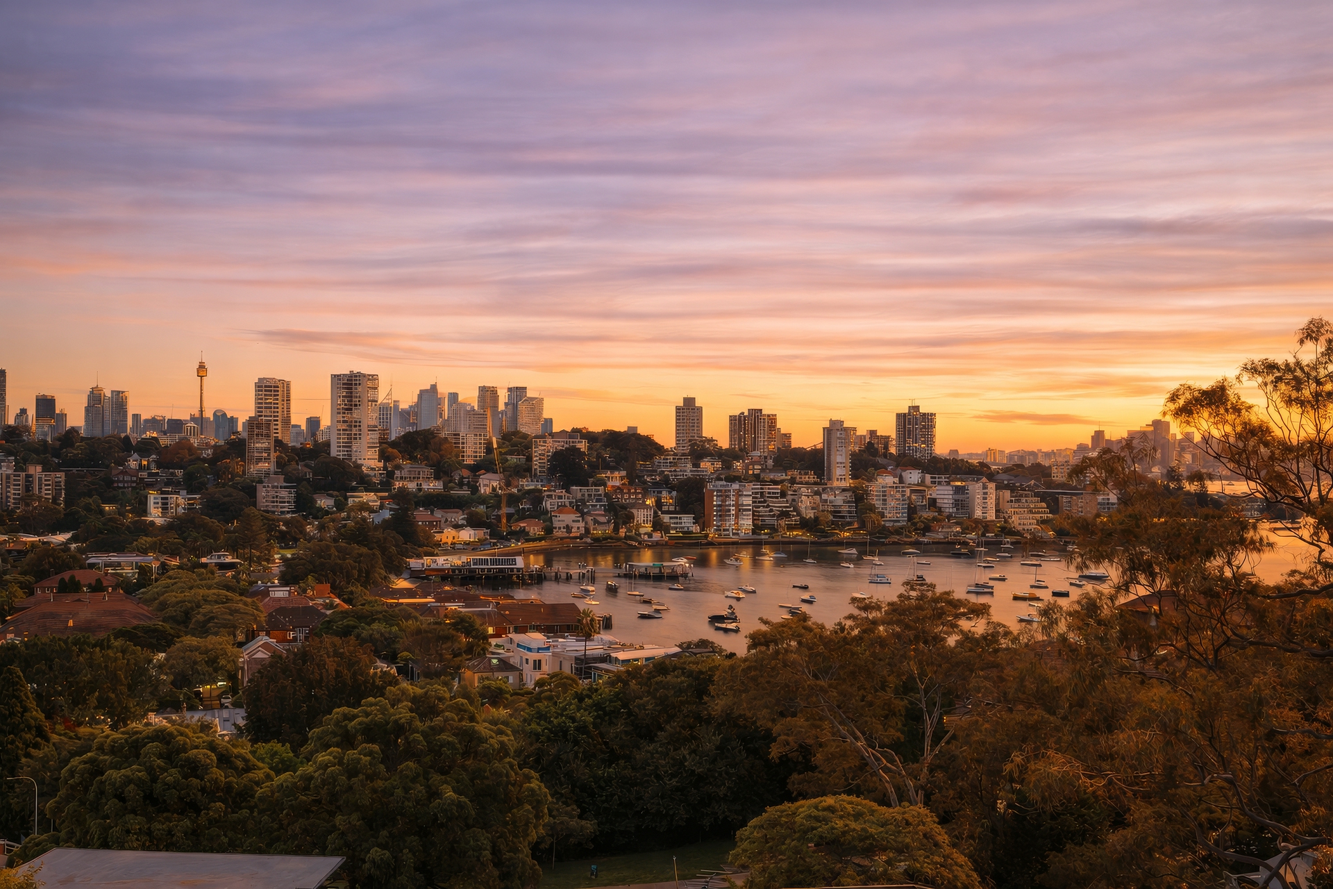 11/38A Fairfax Road, Bellevue Hill