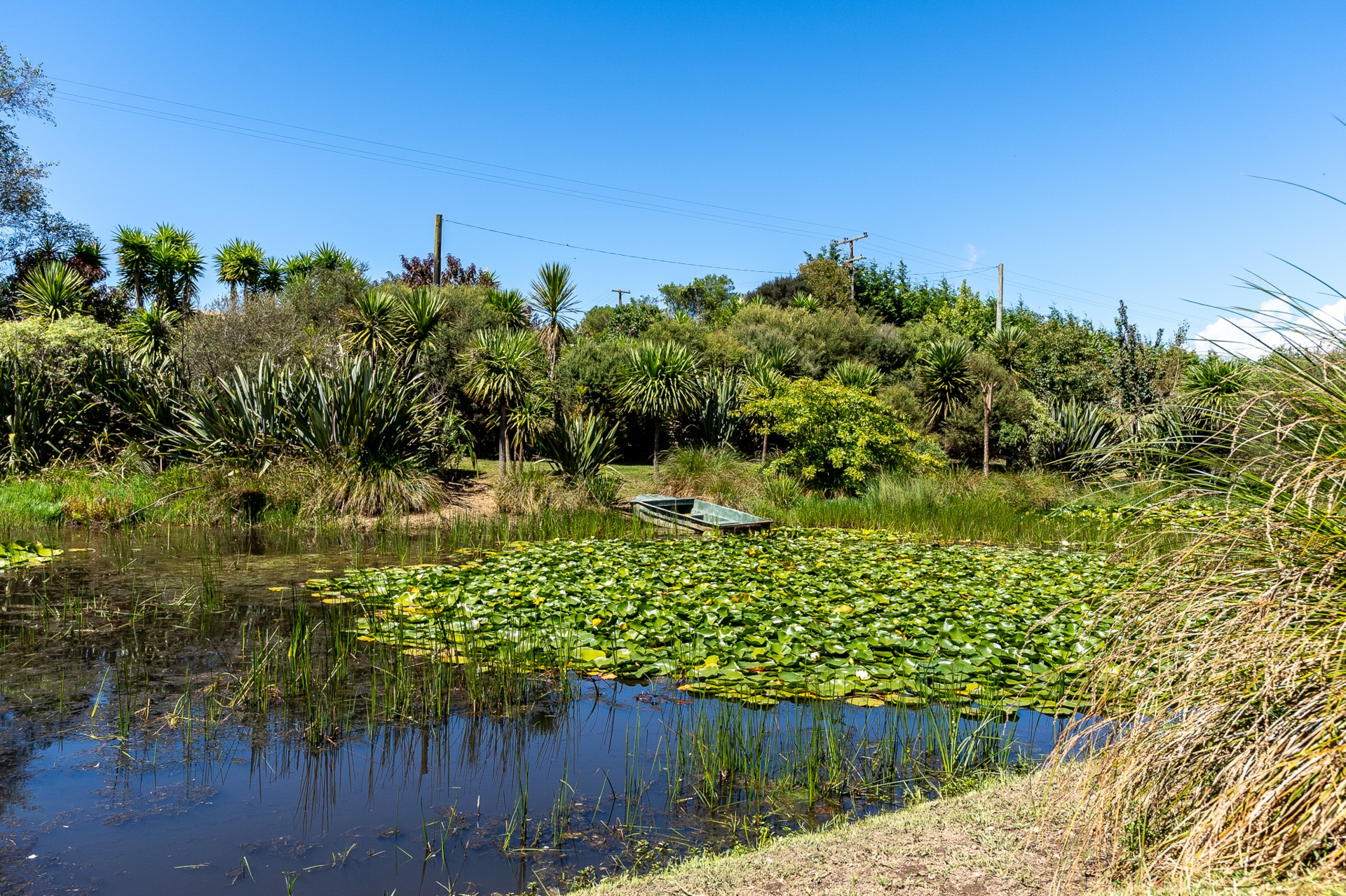 49 Crawford Road, TE KOWHAI