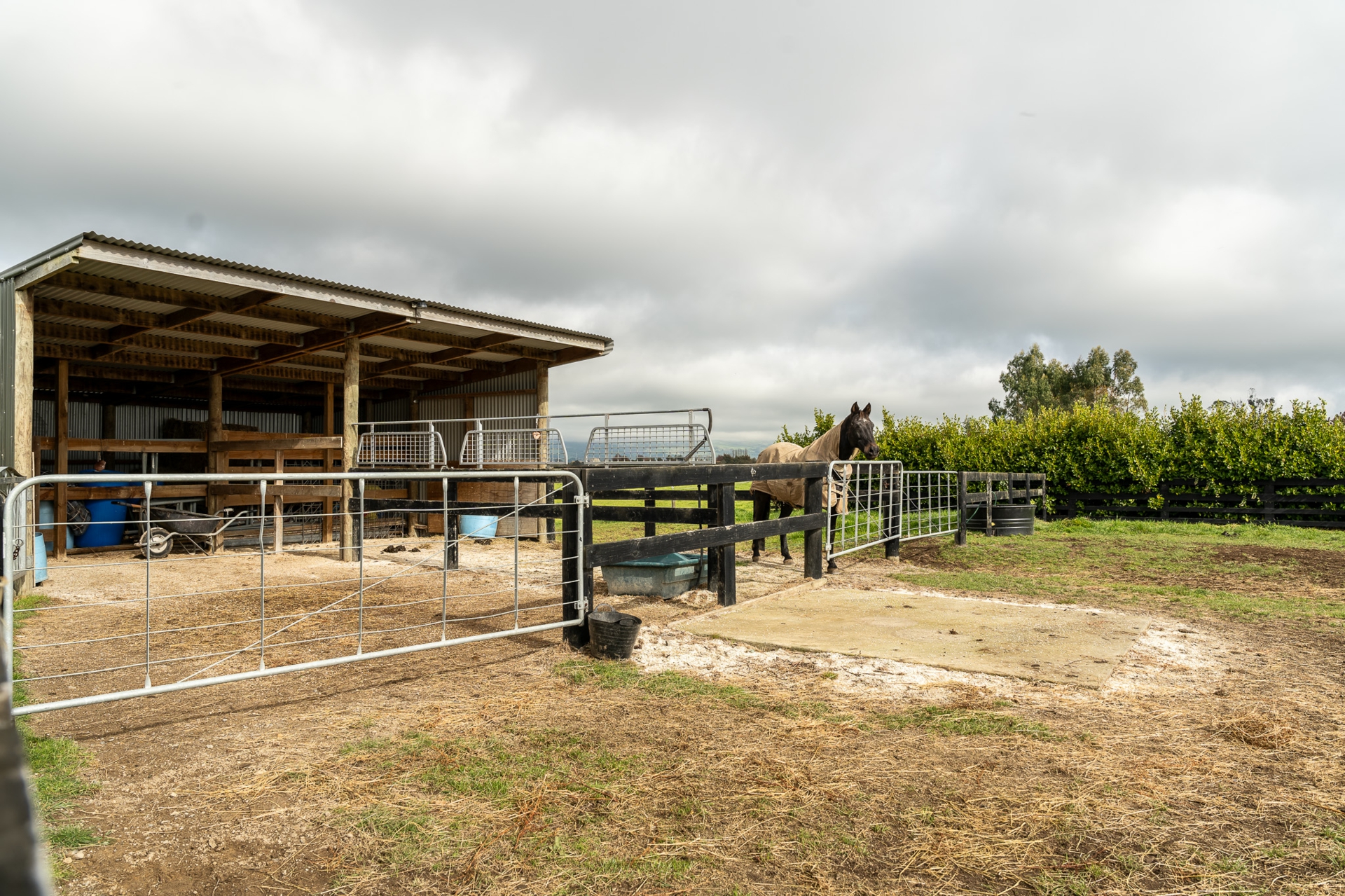 73 Reid Road Ngahinapouri Lifestyle for Sale LJ Hooker