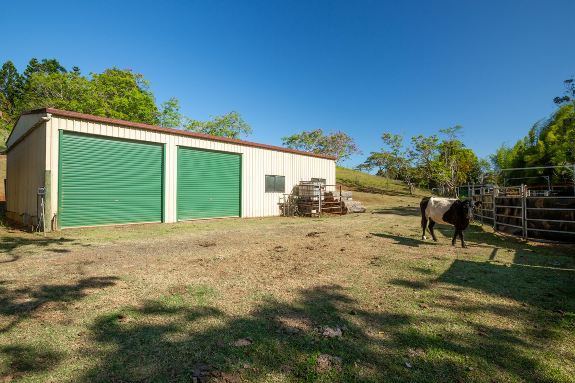 788 Millaa Millaa Malanda Road, MINBUN