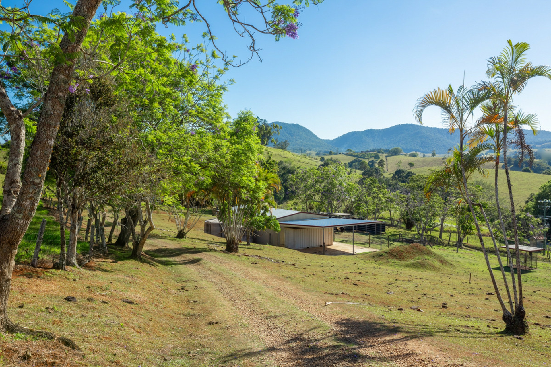788 Millaa Millaa Malanda Road, MINBUN
