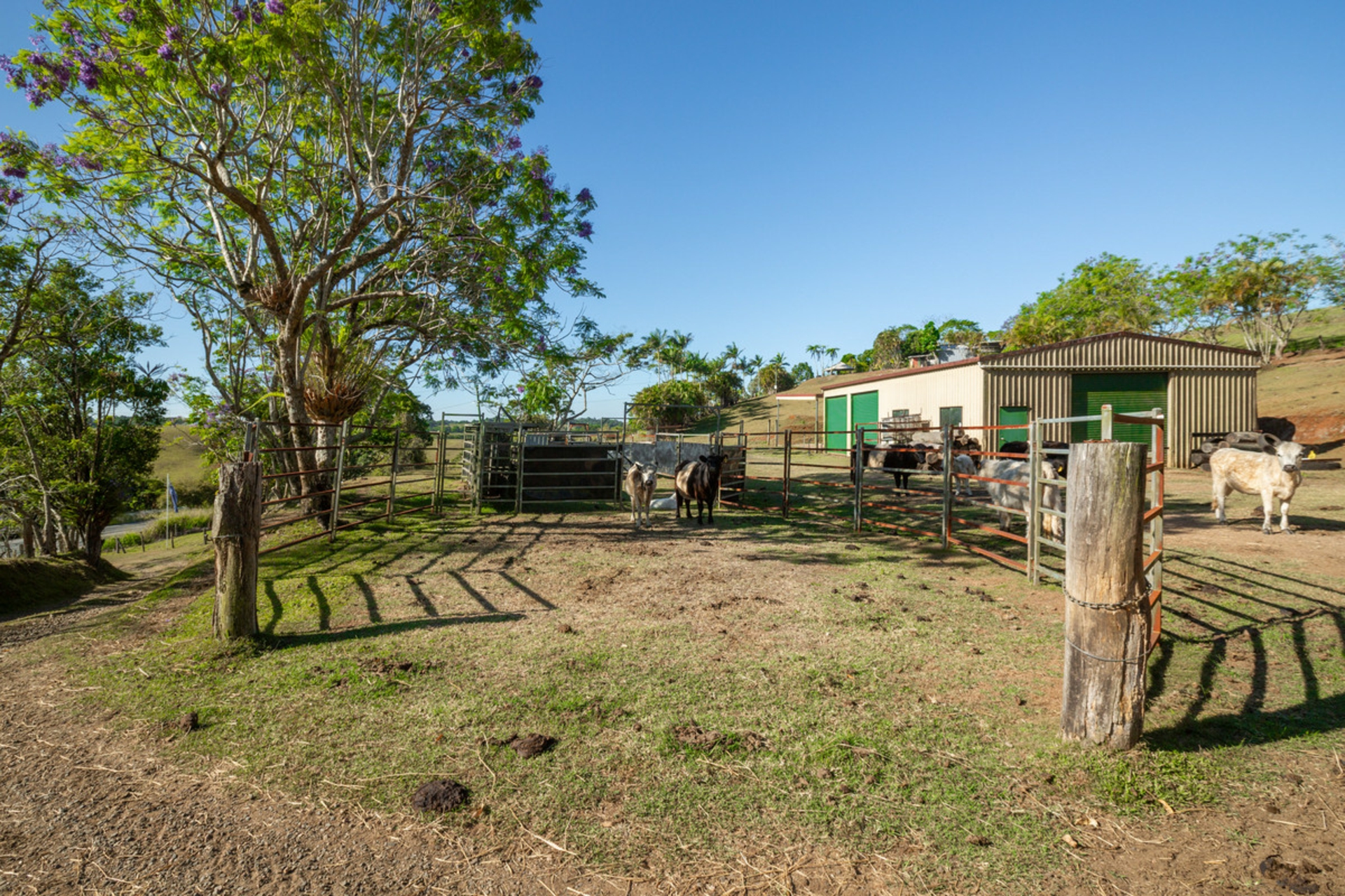 788 Millaa Millaa Malanda Road, MINBUN