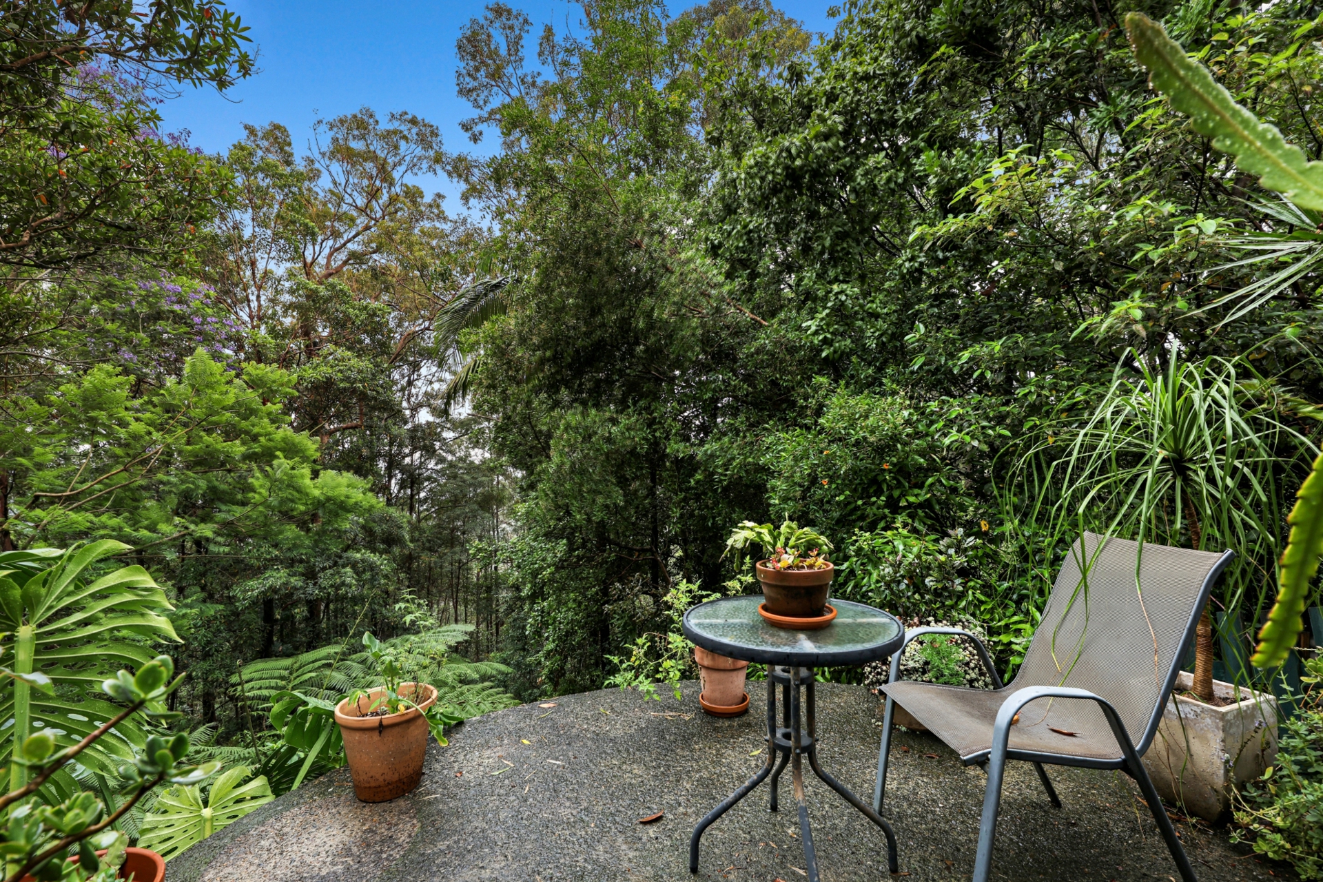 14 Salvia Drive, TAMBORINE MOUNTAIN